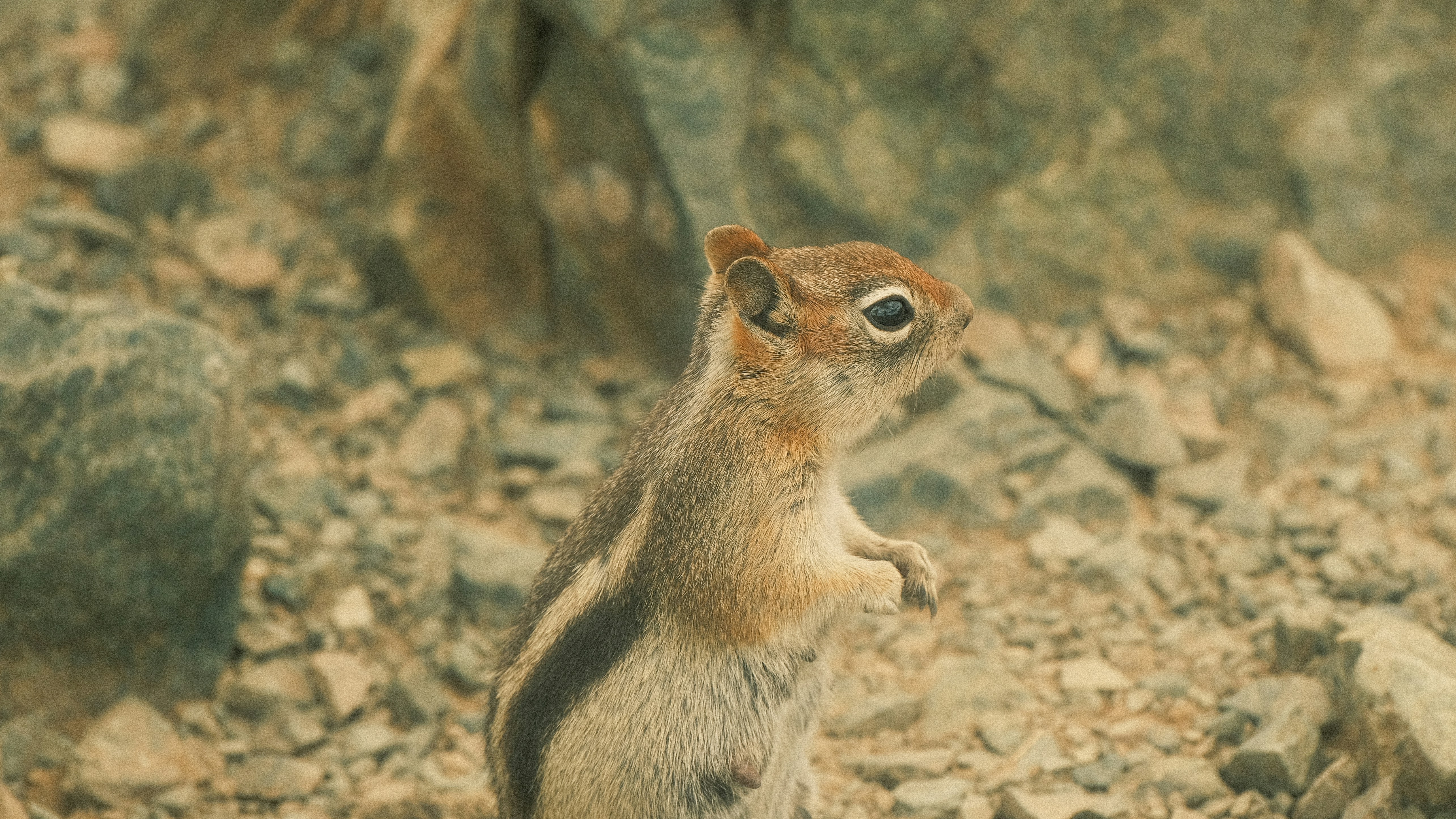 Photo by maxmeadowcroft