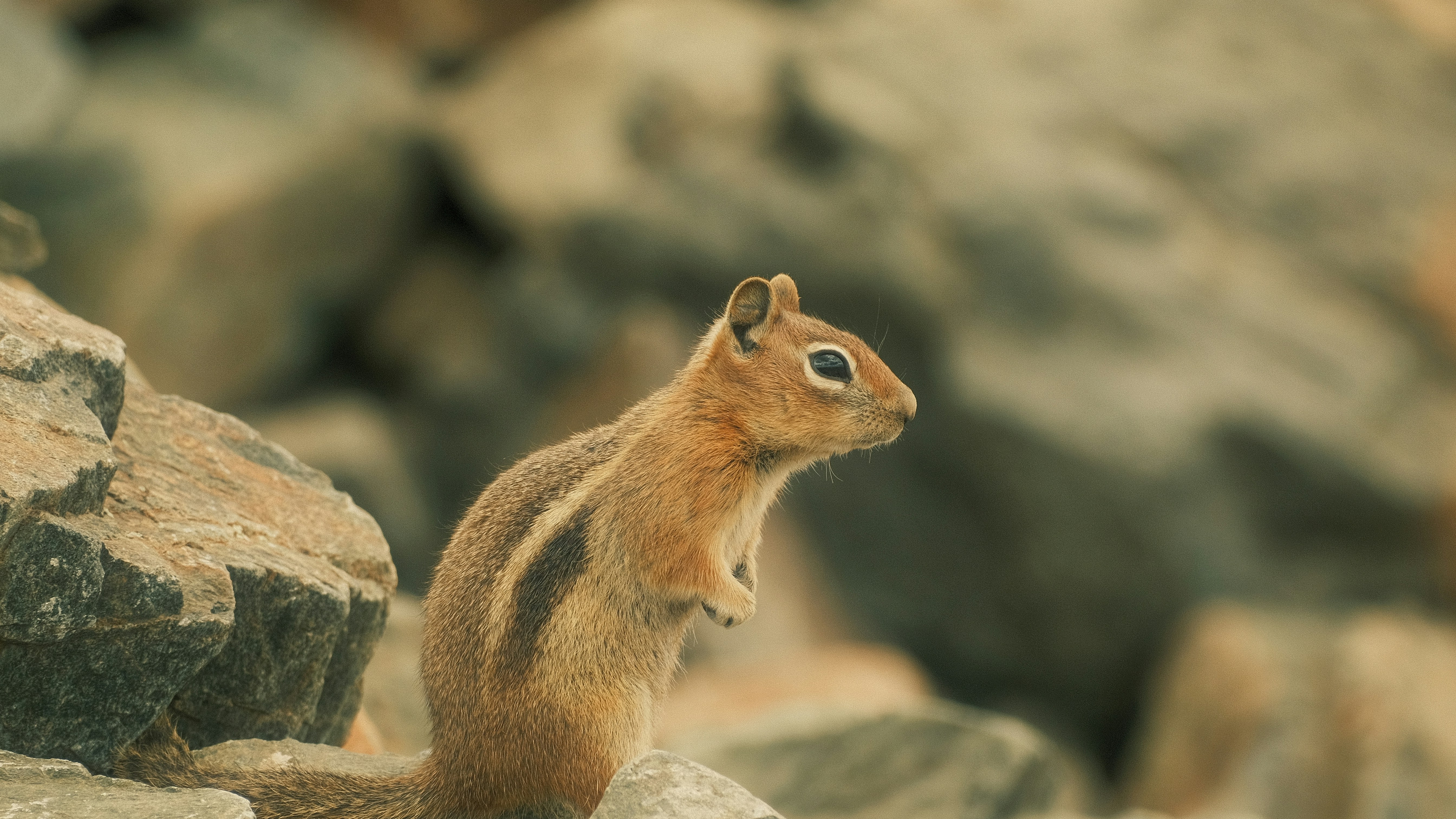 Photo by maxmeadowcroft