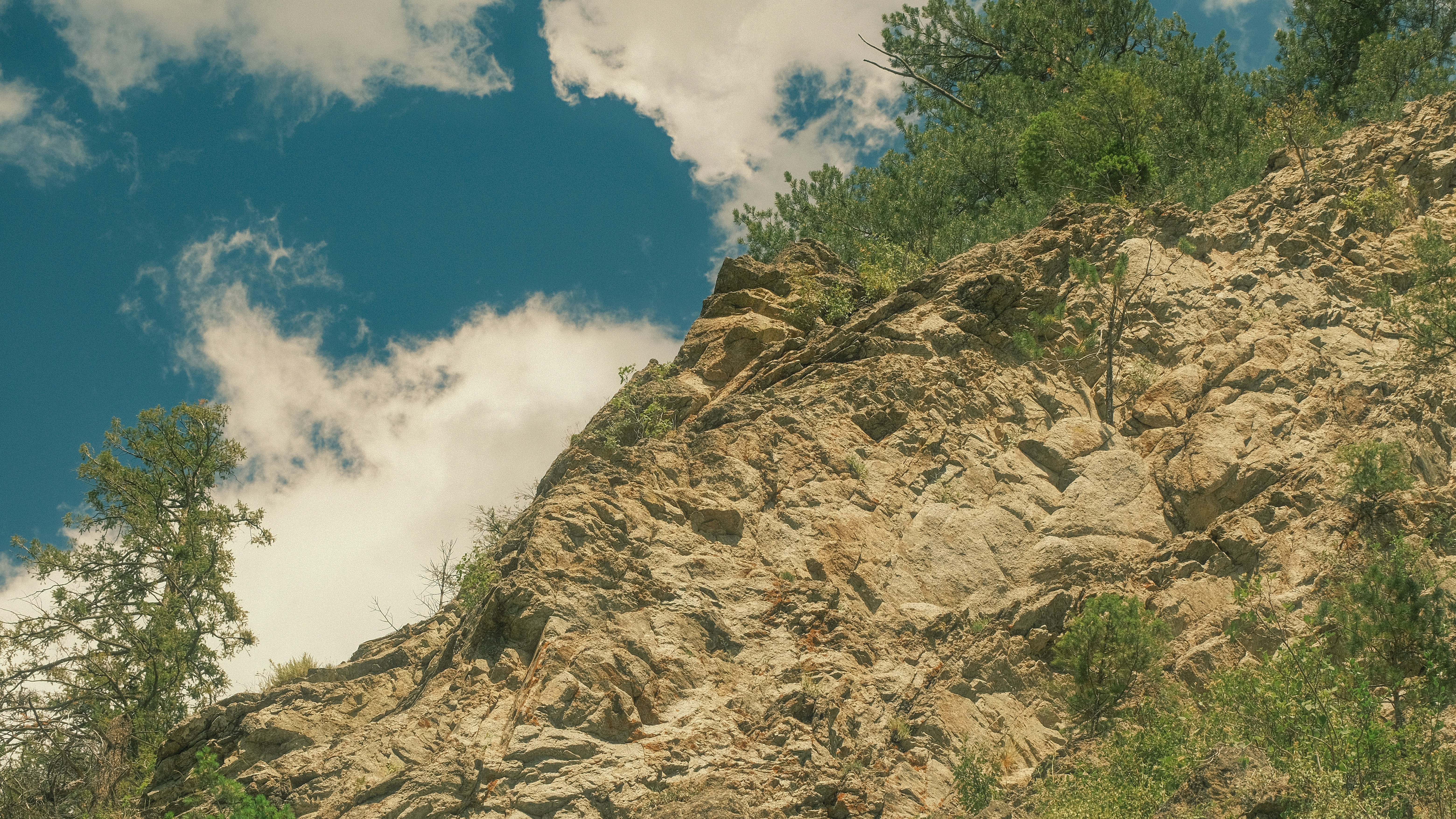 Photo by maxmeadowcroft