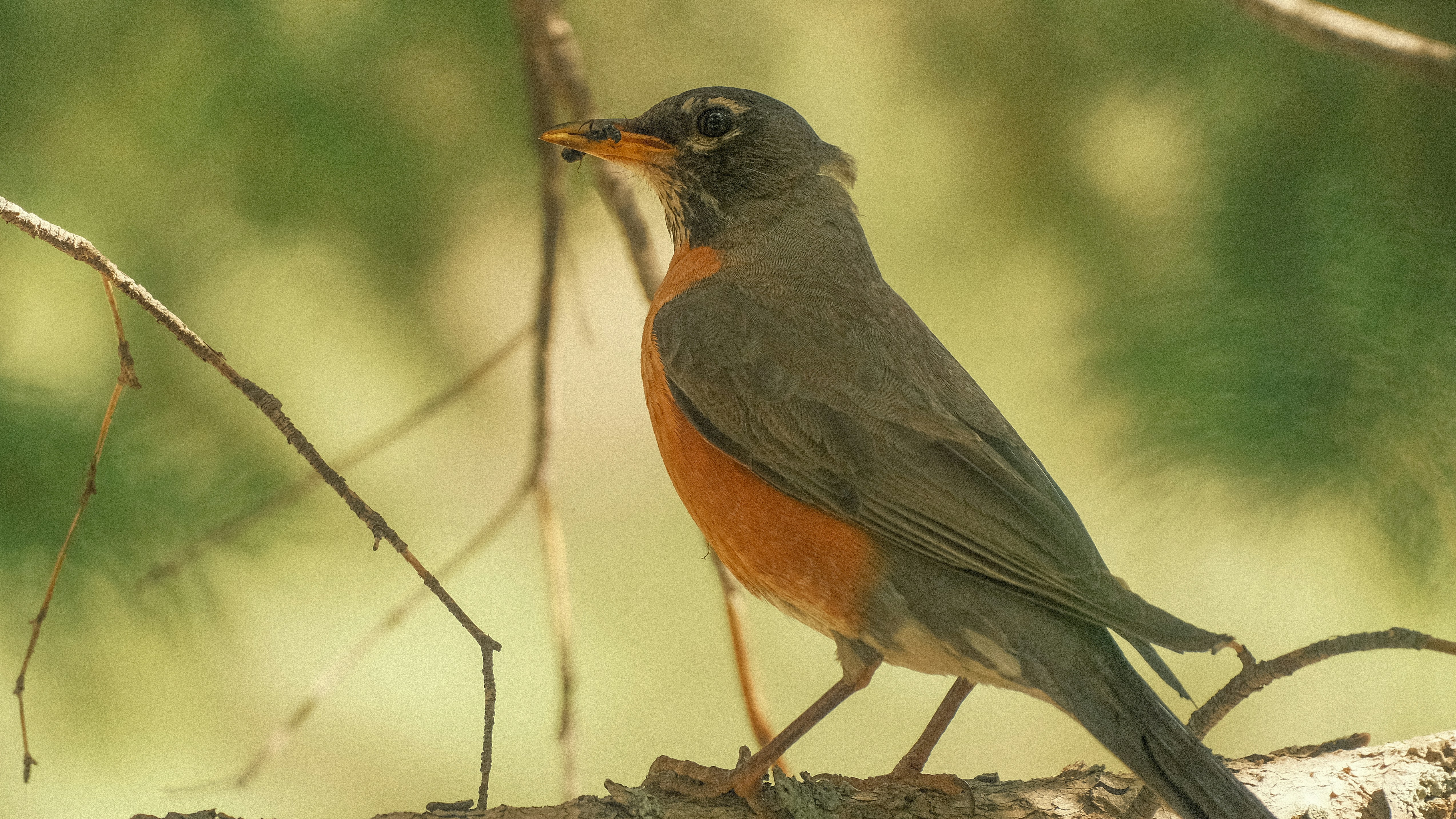 Photo by maxmeadowcroft