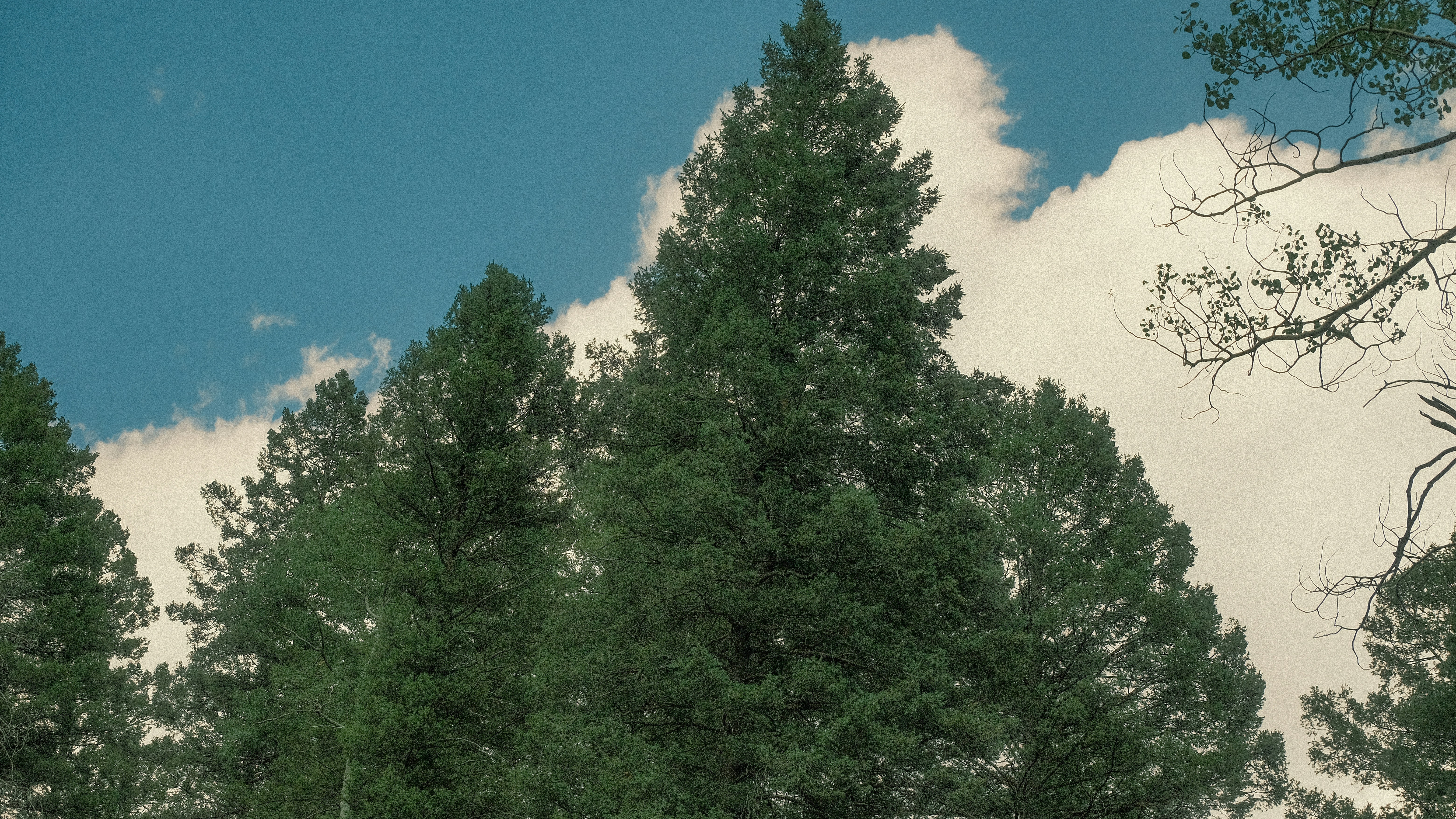 Photo by maxmeadowcroft