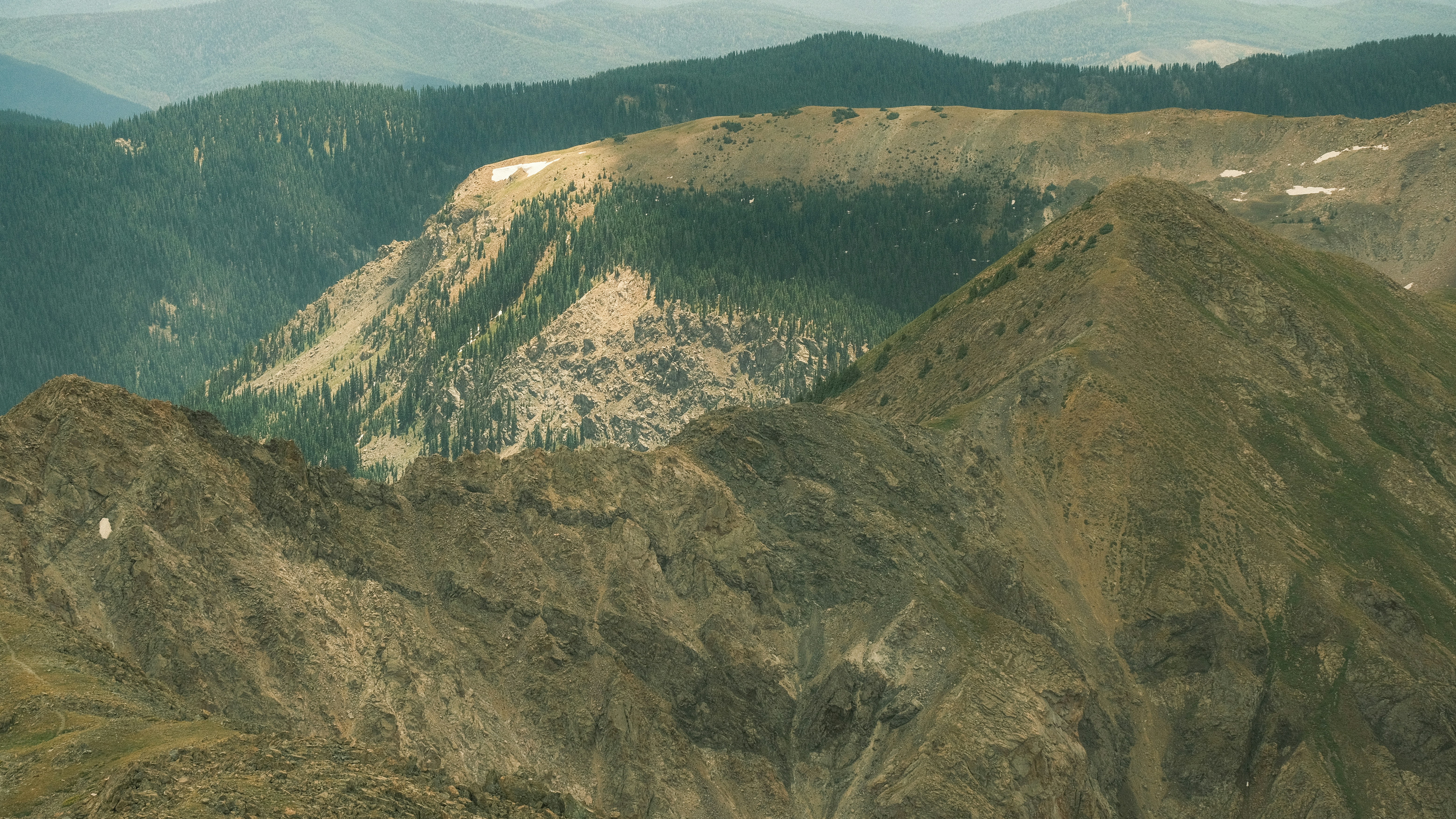 Jackson's Creeping Neighborhood Nightmare (image credits: unsplash)