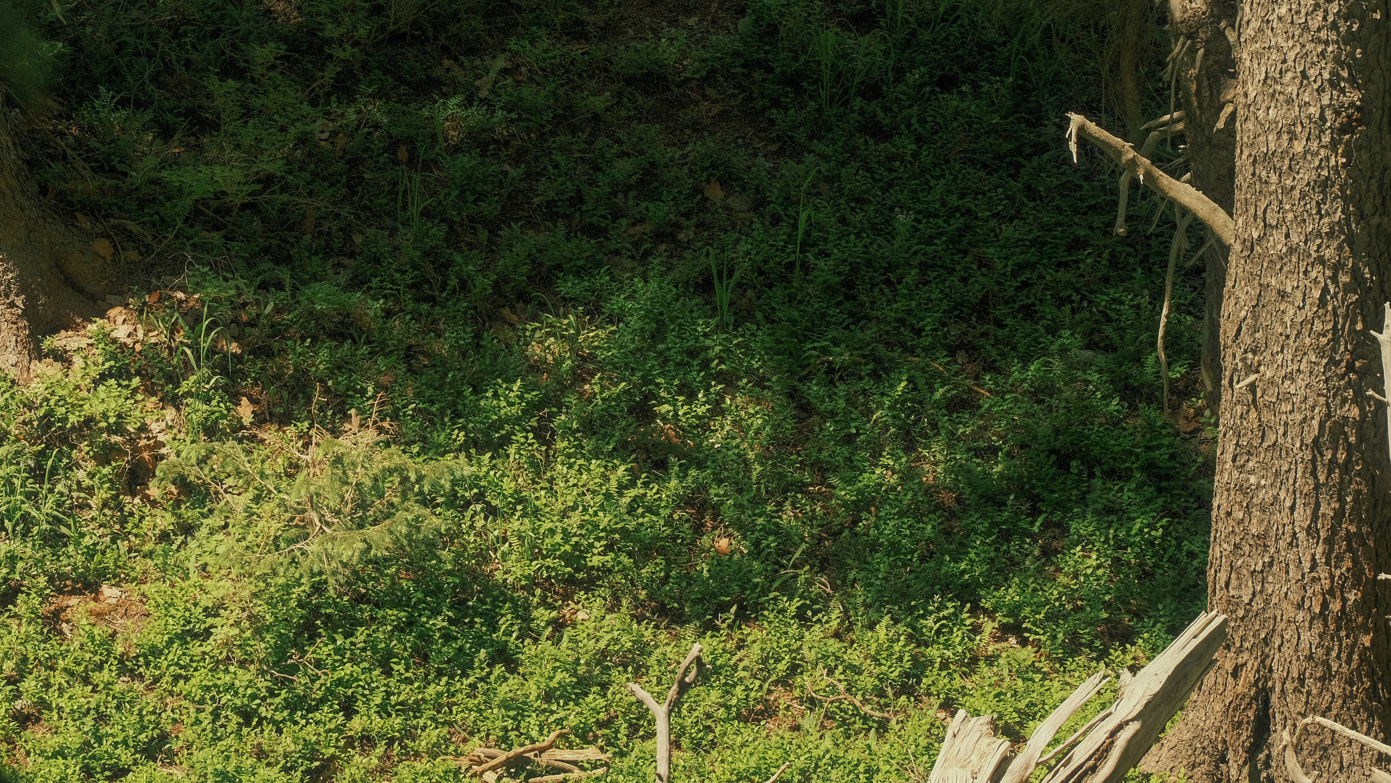 Photo by maxmeadowcroft