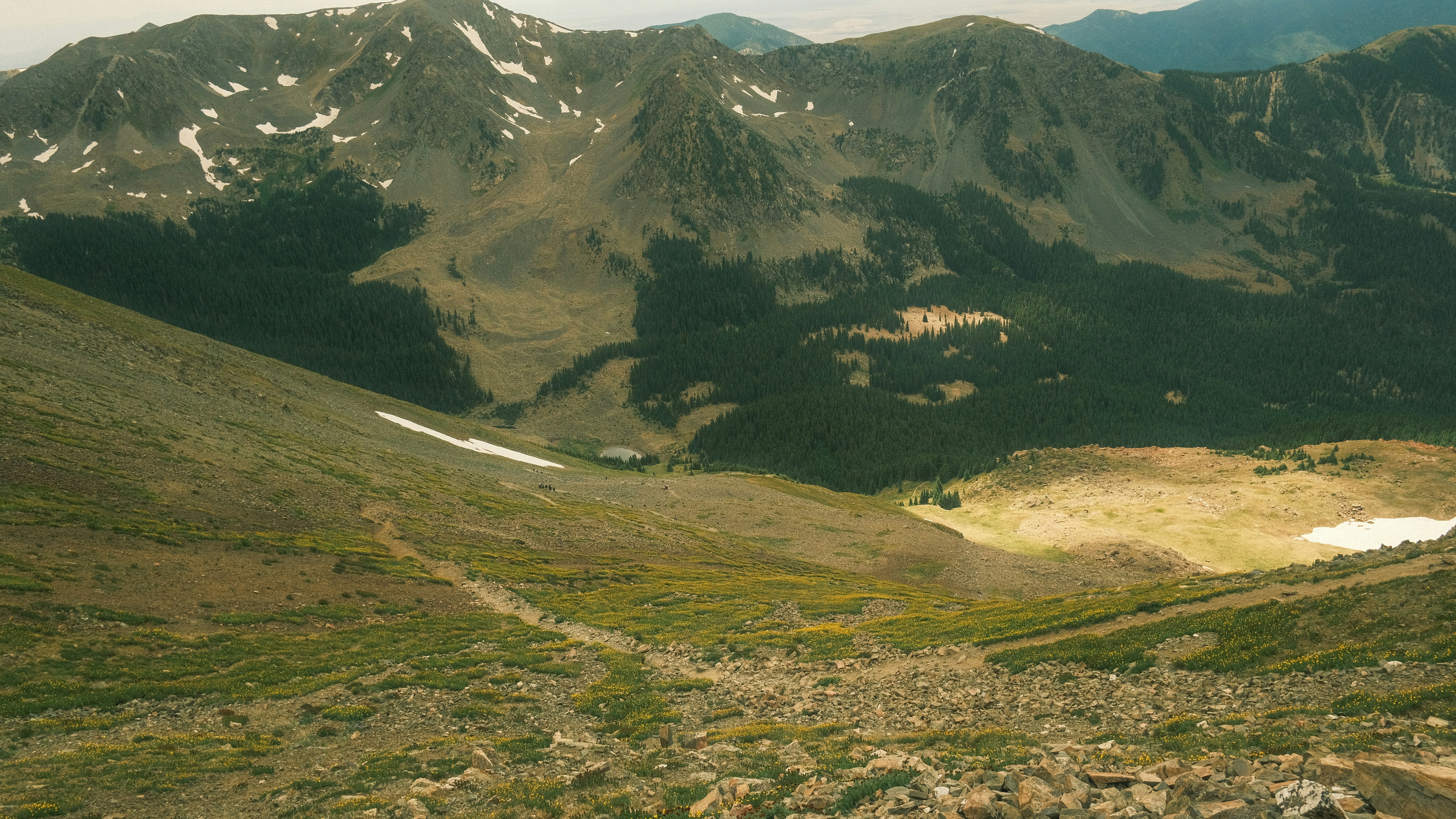 Photo by maxmeadowcroft