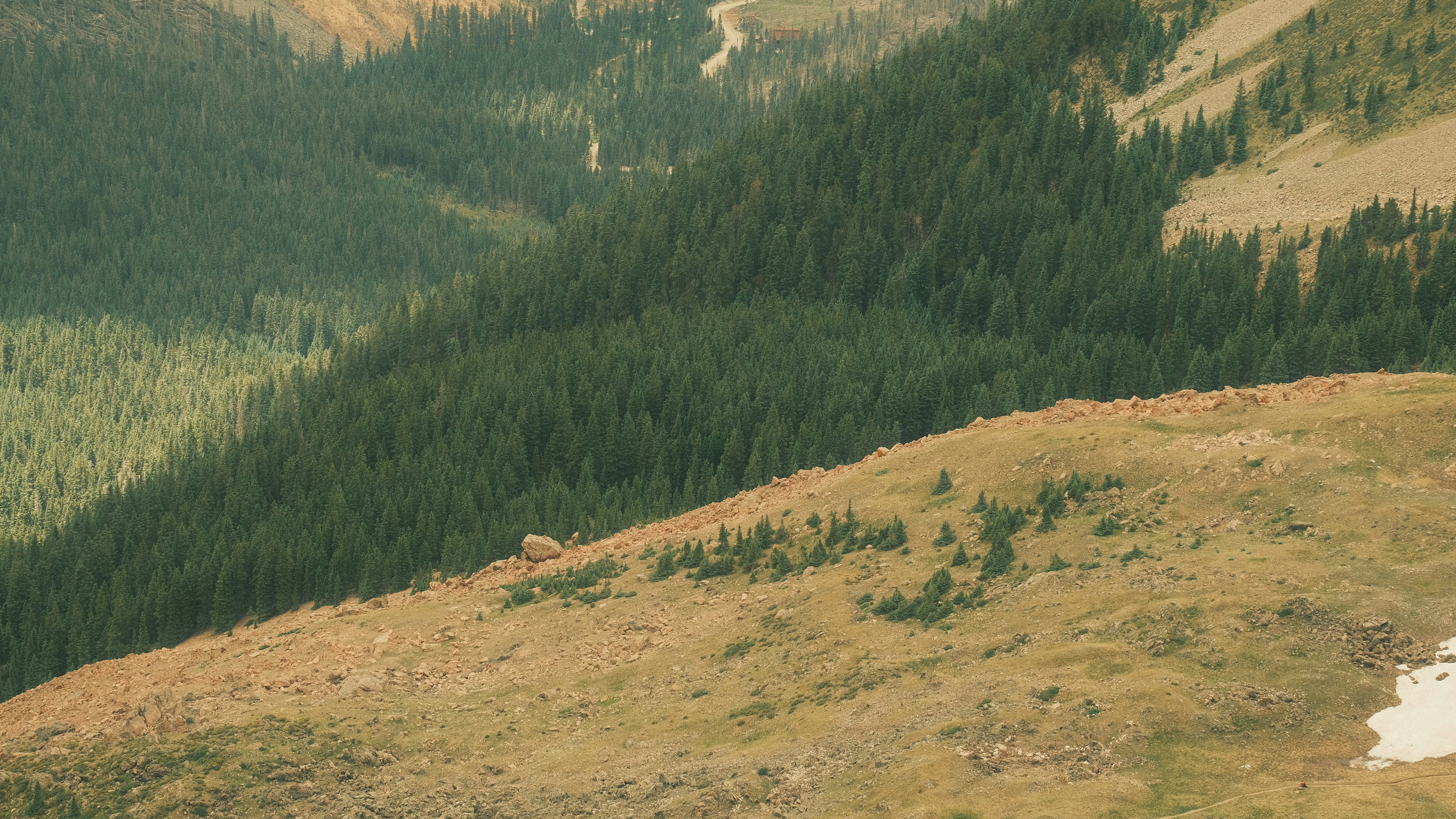 Photo by maxmeadowcroft