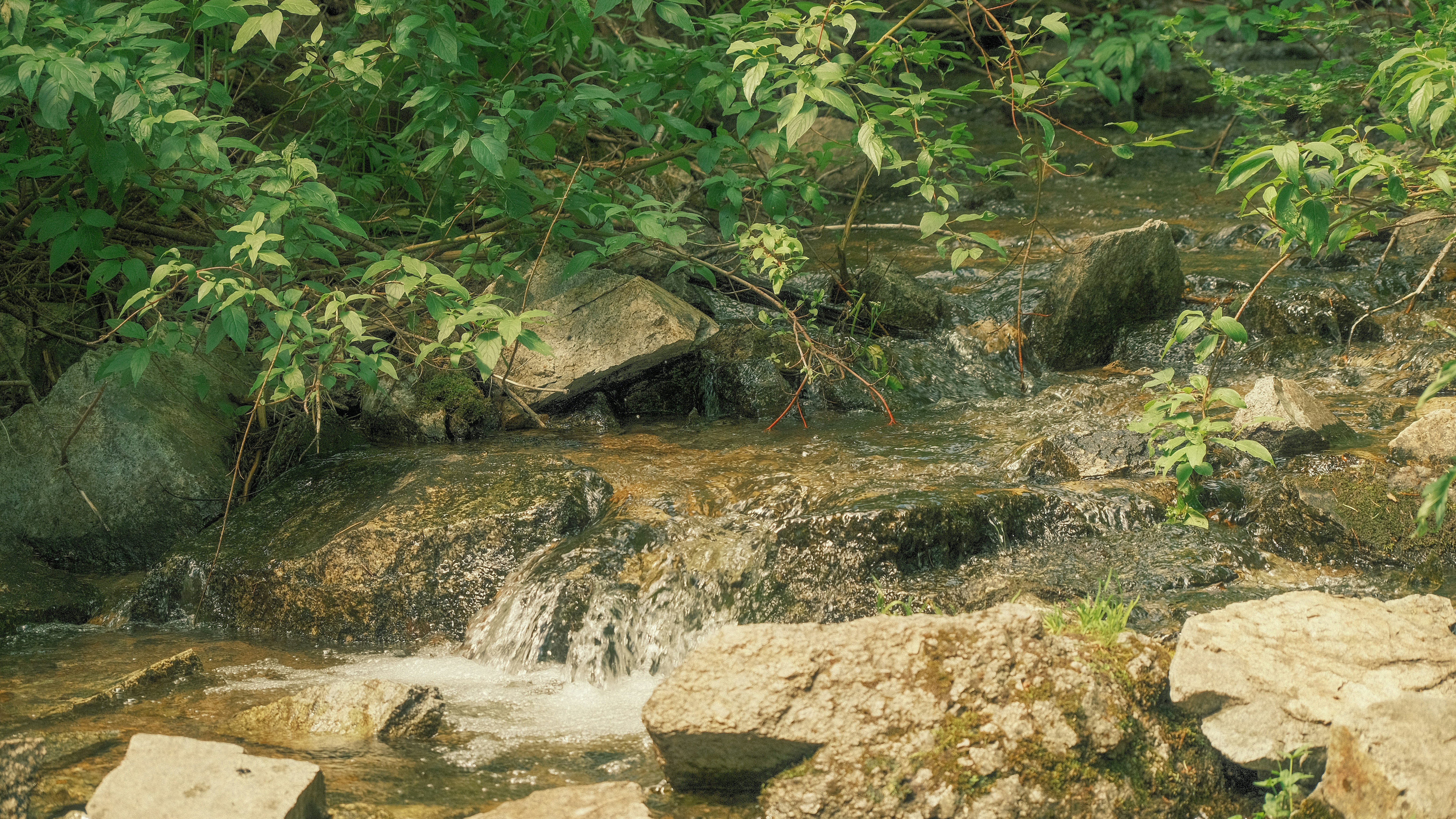 Photo by maxmeadowcroft