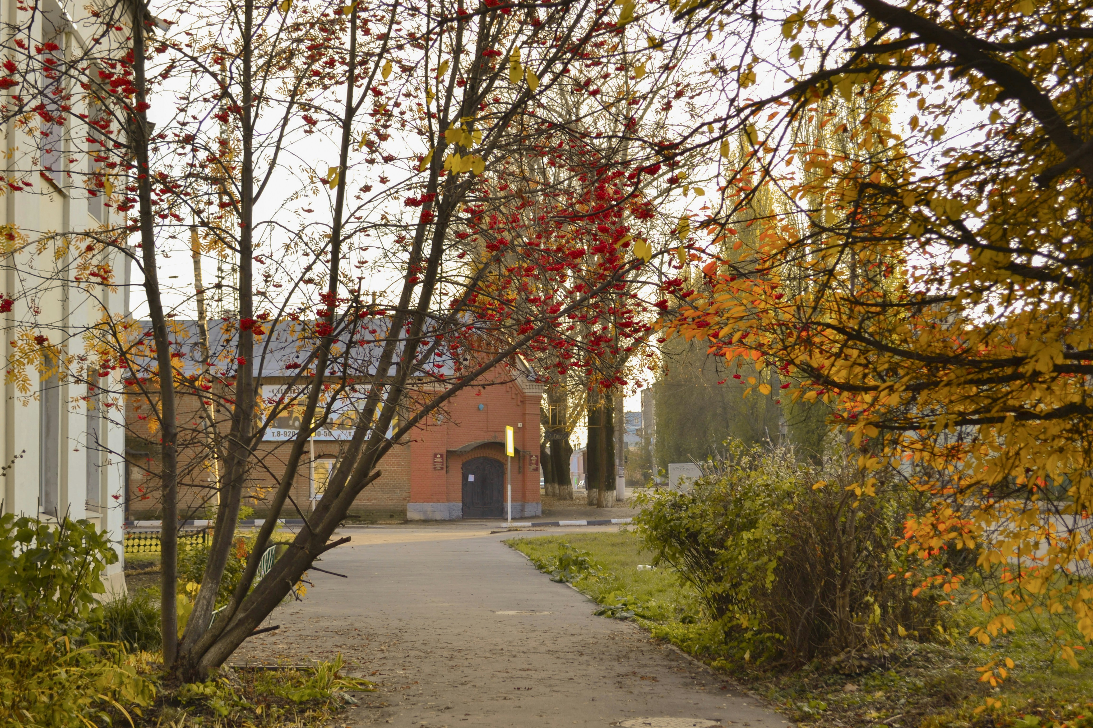 Photo by ksushaphoto