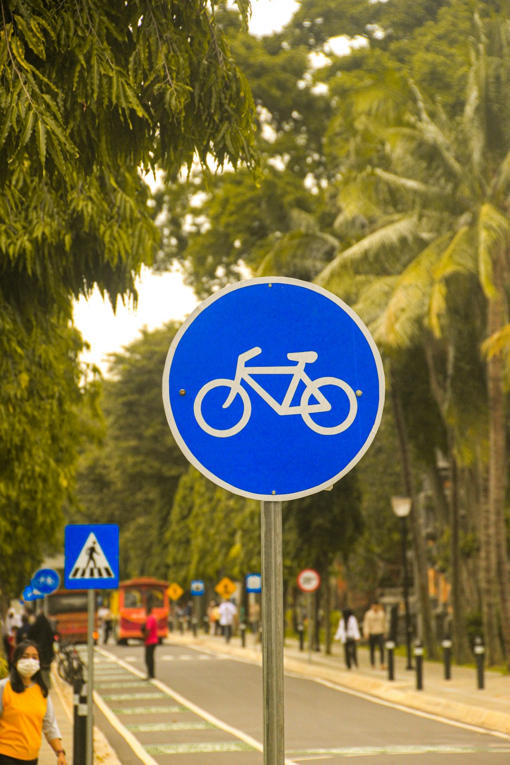 a blue bicycle sign sitting on the side of a road