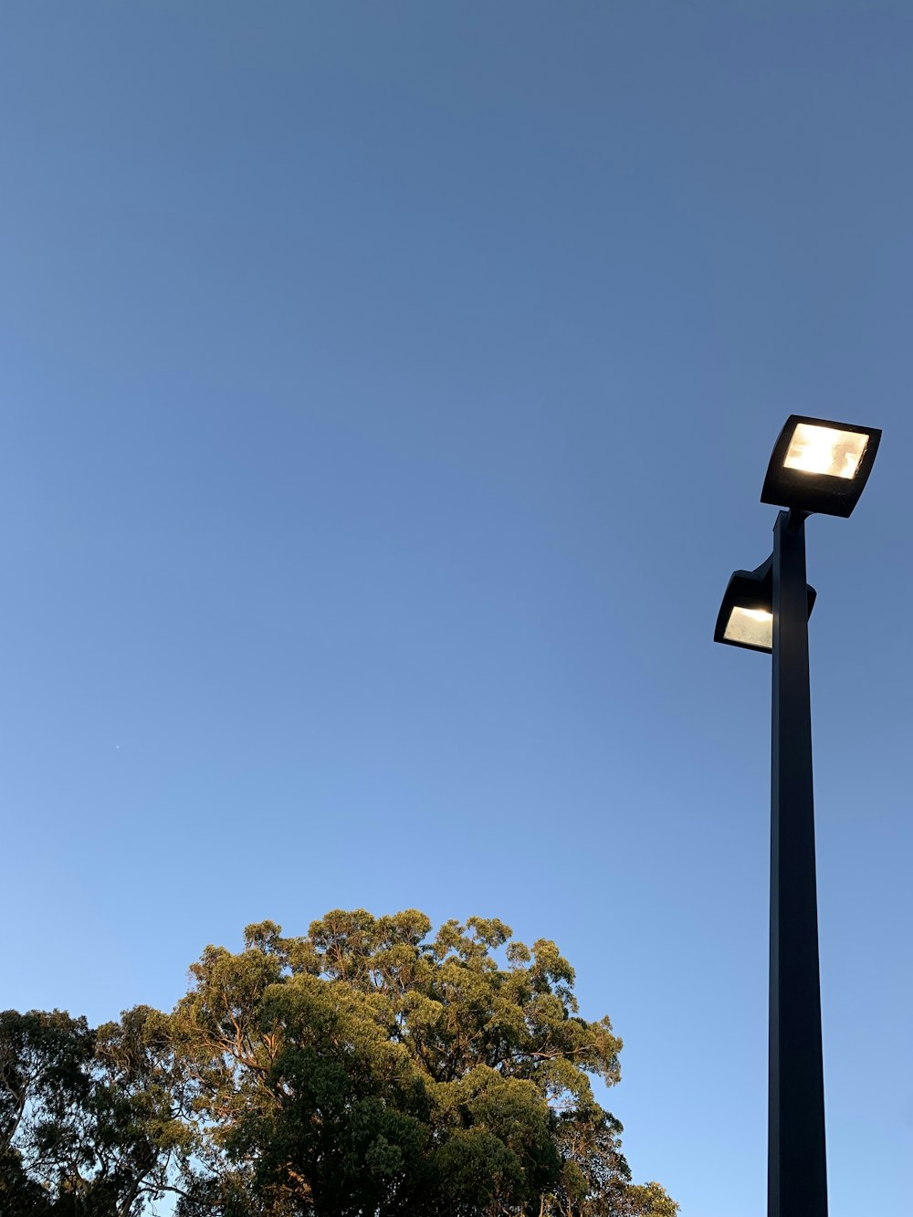 a street light with a tree in the background