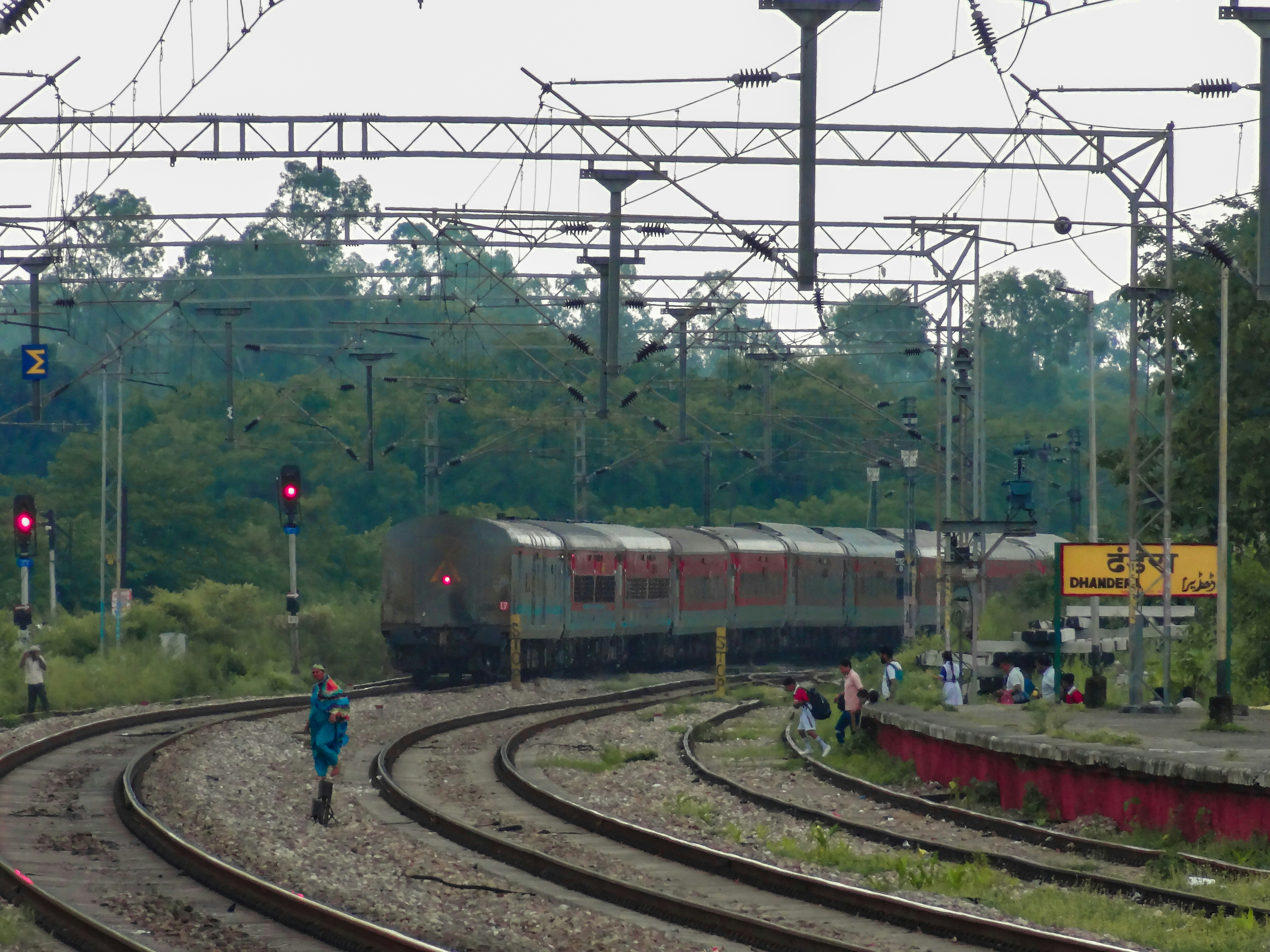 A train traveling down train tracks next to a forest photo – Free ...