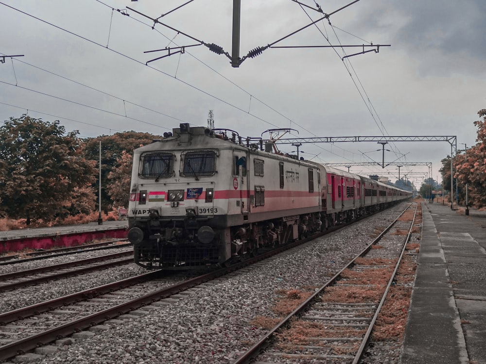 a train traveling down train tracks next to a forest