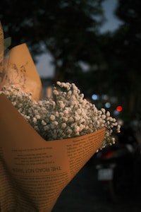 White Rose Pure