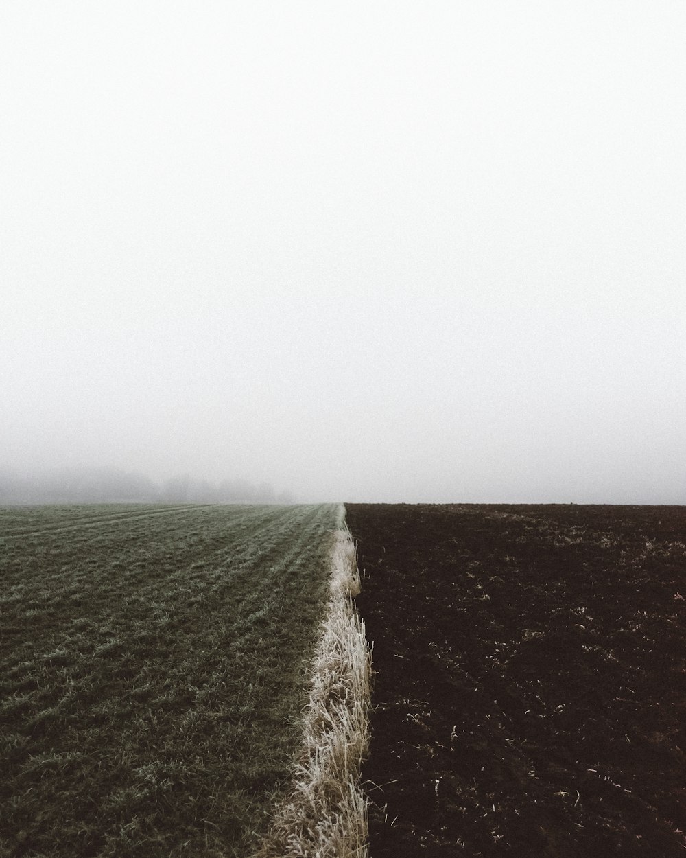 a field with a line of grass in the middle of it