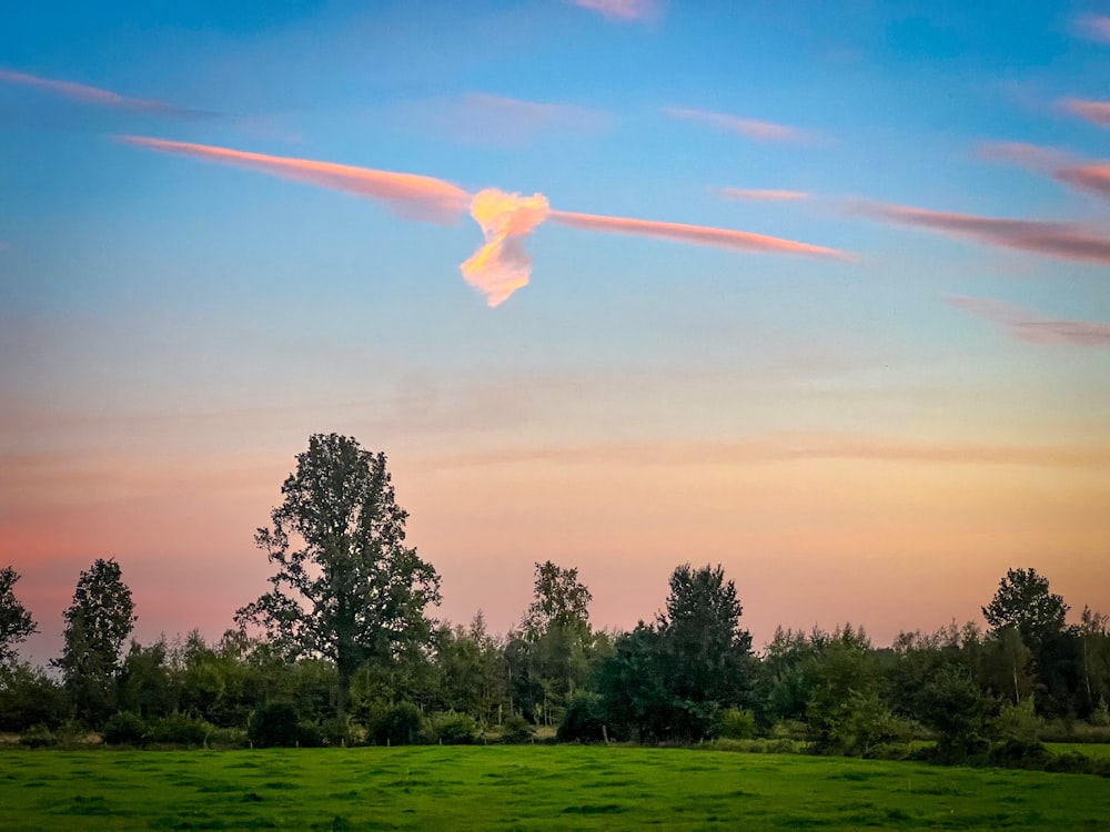 a cloud shaped like a heart is in the sky