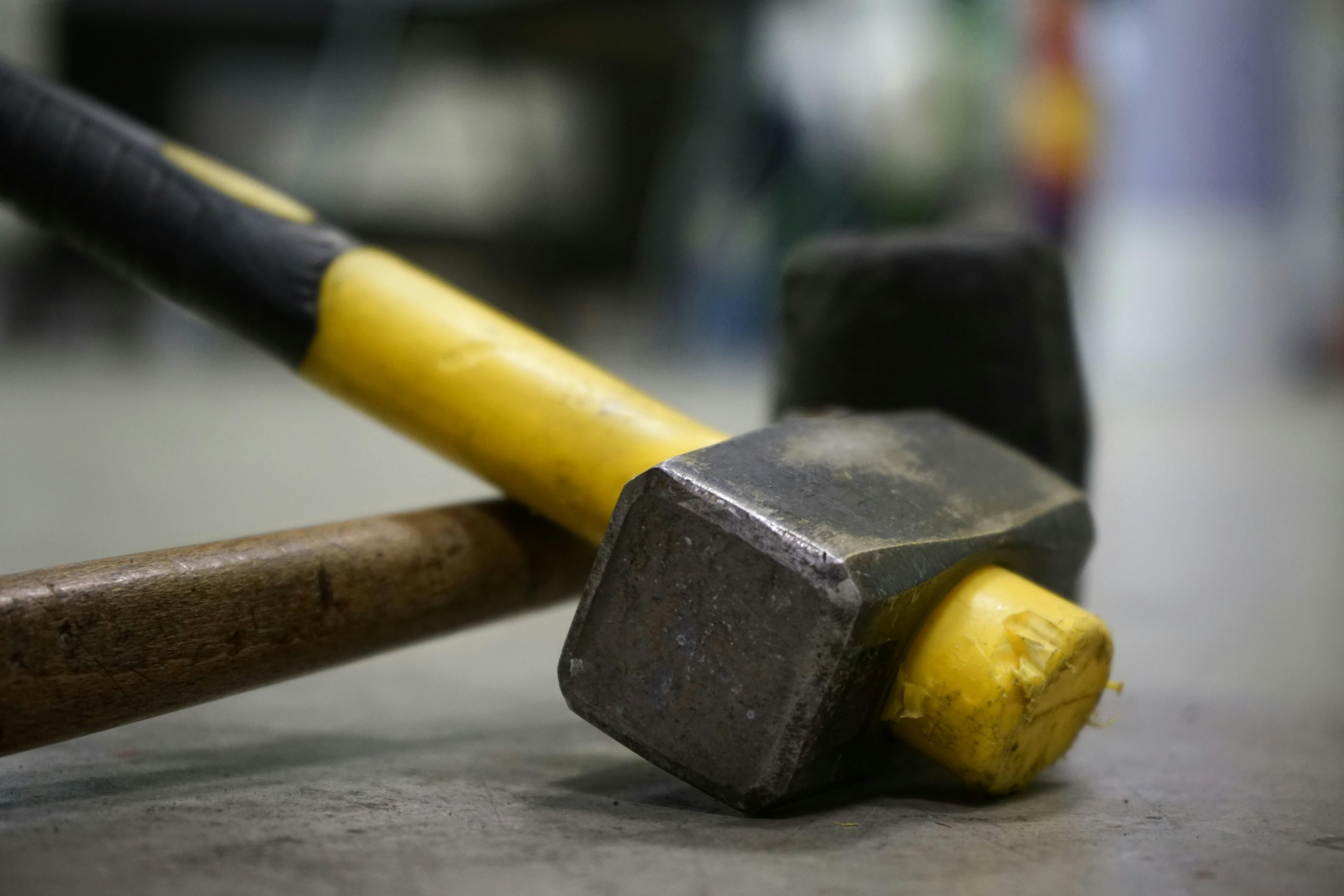 Photo by melanisticfox