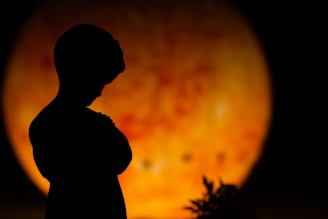 A silhouette of a child with folded arms is set against a large, luminous background resembling the sun. A small plant is visible near the silhouette, contributing to the scene's overall sense of contemplation and introspection.