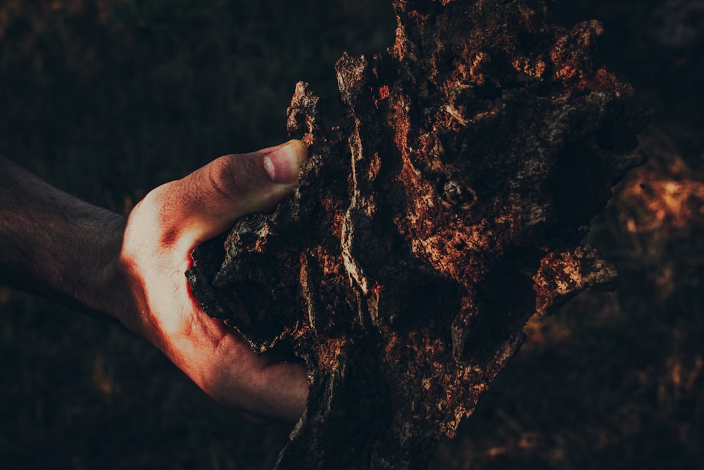 a person holding a piece of wood in their hand