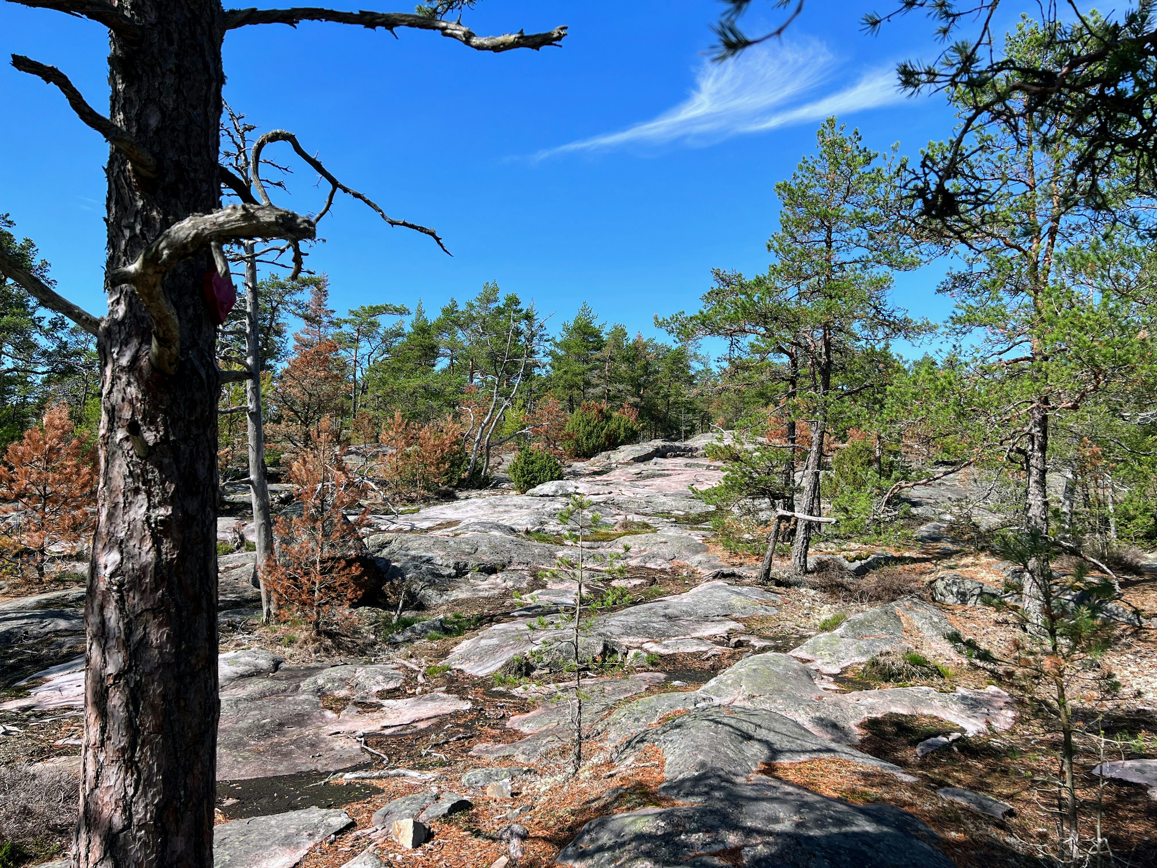 Photo by beshkenadze