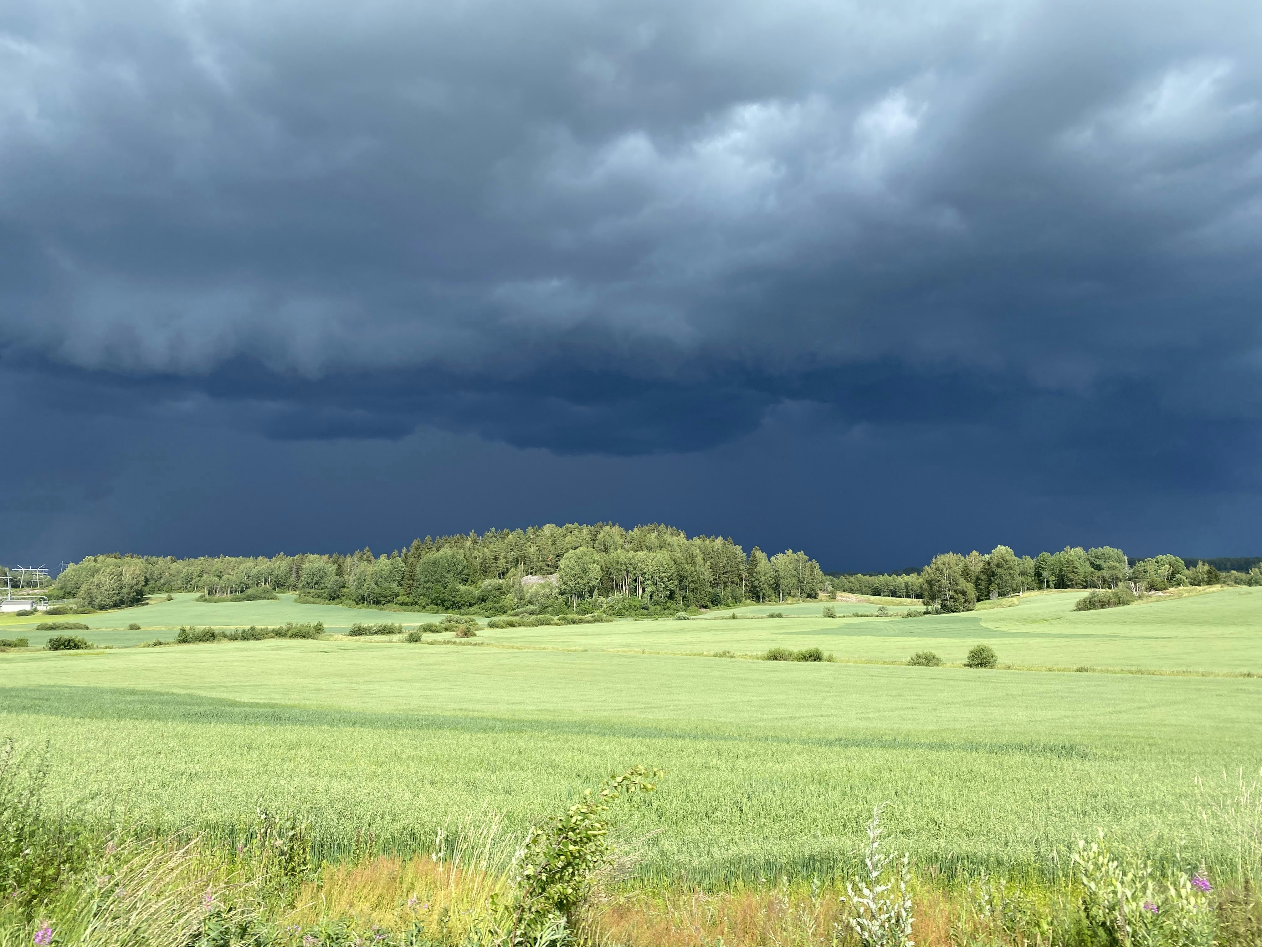 Photo by beshkenadze