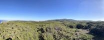 A vast landscape featuring rolling hills covered with dense green vegetation under a clear blue sky. In the distance, small clusters of buildings can be seen. The terrain is lush and expansive, suggesting an unspoiled natural area.