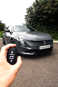 A sleek gray hybrid car, identifiable by the badge and model name on the front, is parked on a road. A hand holding a car key fob is visible in the foreground, indicating an interaction with the vehicle. The background features lush green foliage, providing a contrasting backdrop to the car's modern design.