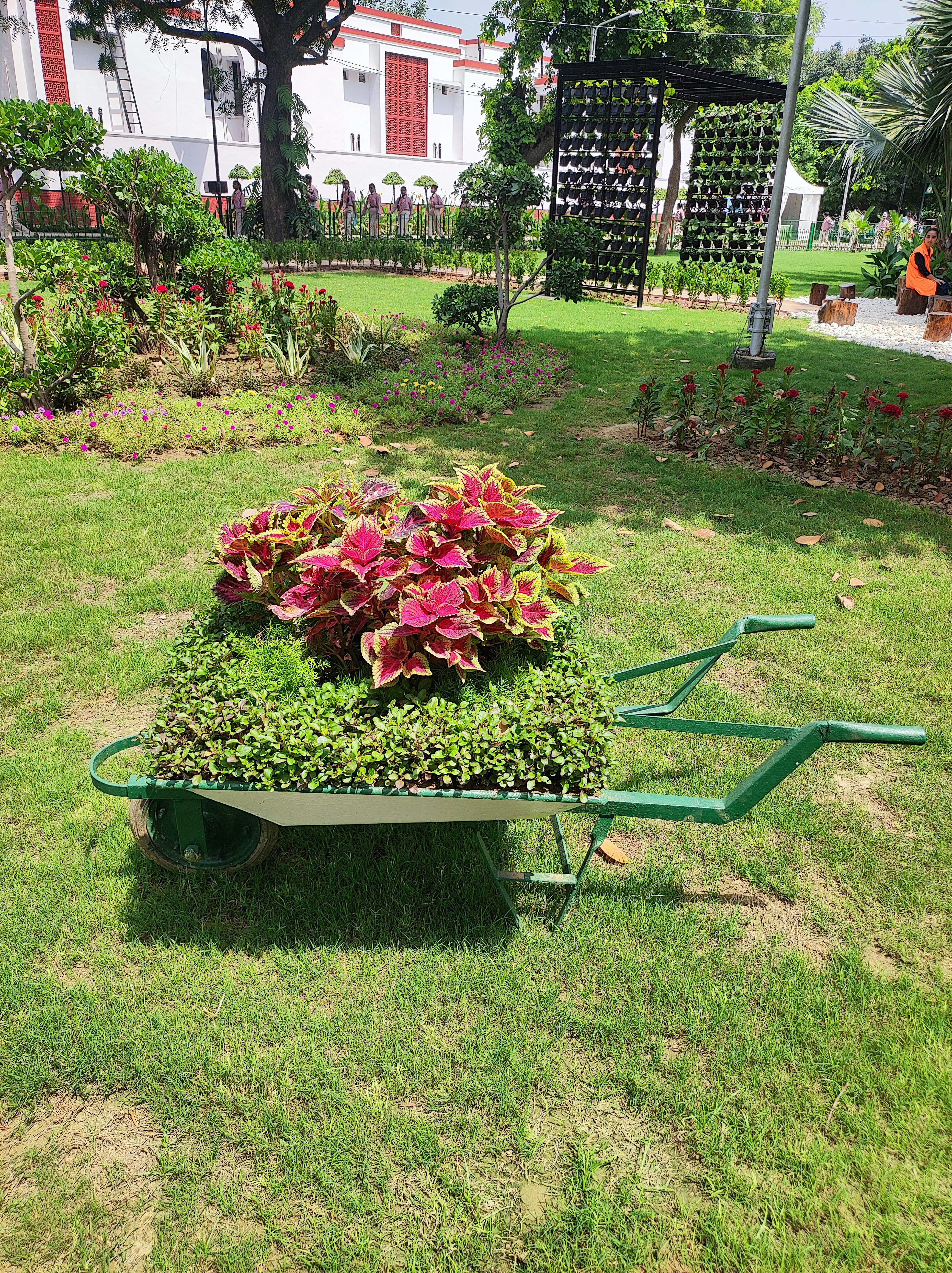 Lush Indoor Plants Collection