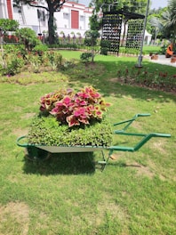 A wheelbarrow filled with vibrant green and red foliage is placed on a well-manicured lawn. Surrounding the area are various plants and flowers, with additional landscaping elements such as trees, a vertical garden, and a white building in the background.