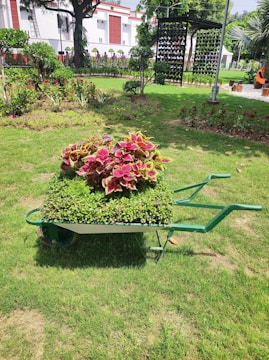 A wheelbarrow filled with vibrant green and red foliage is placed on a well-manicured lawn. Surrounding the area are various plants and flowers, with additional landscaping elements such as trees, a vertical garden, and a white building in the background.