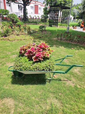 A wheelbarrow filled with vibrant green and red foliage is placed on a well-manicured lawn. Surrounding the area are various plants and flowers, with additional landscaping elements such as trees, a vertical garden, and a white building in the background.