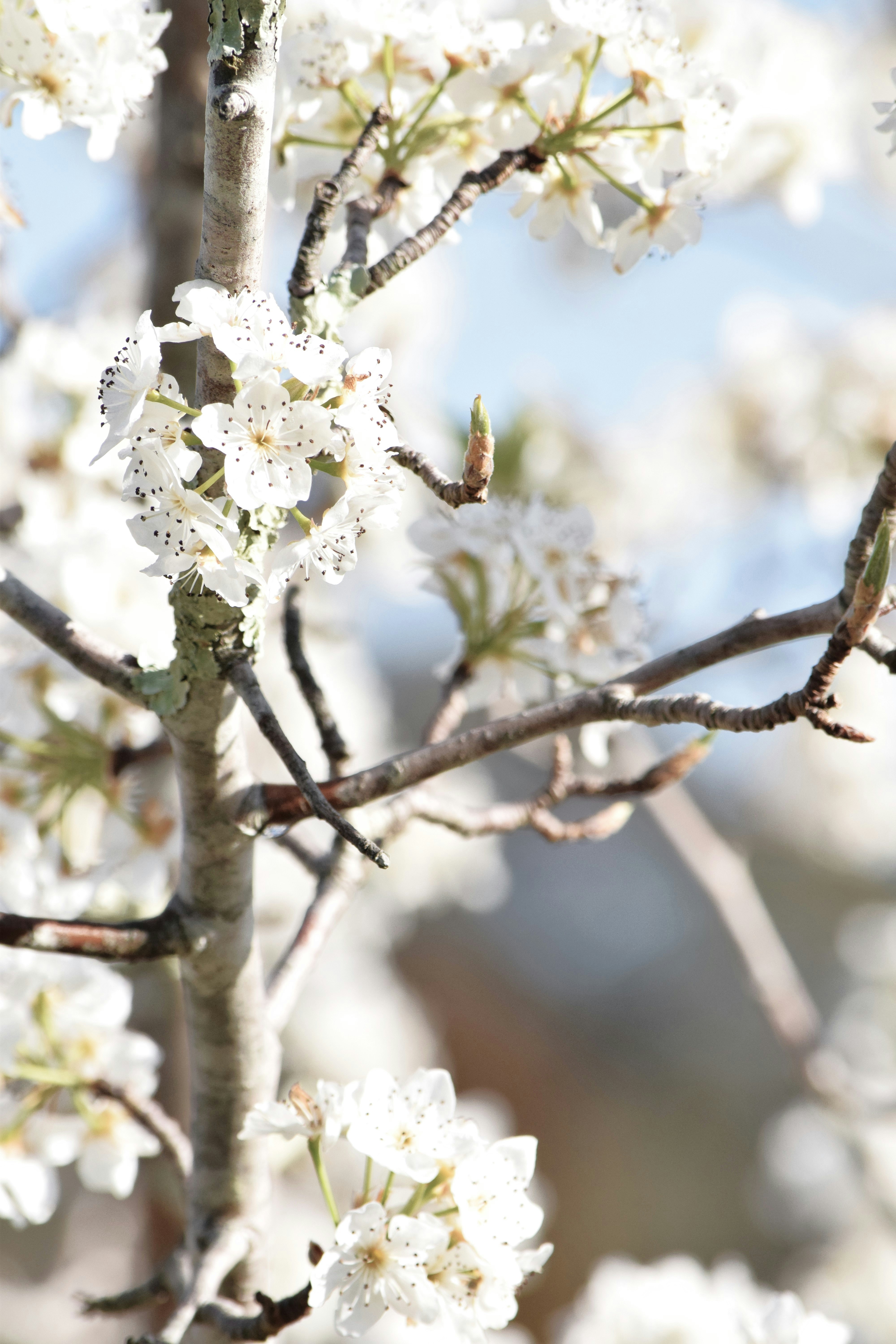 Photo by ch_photography