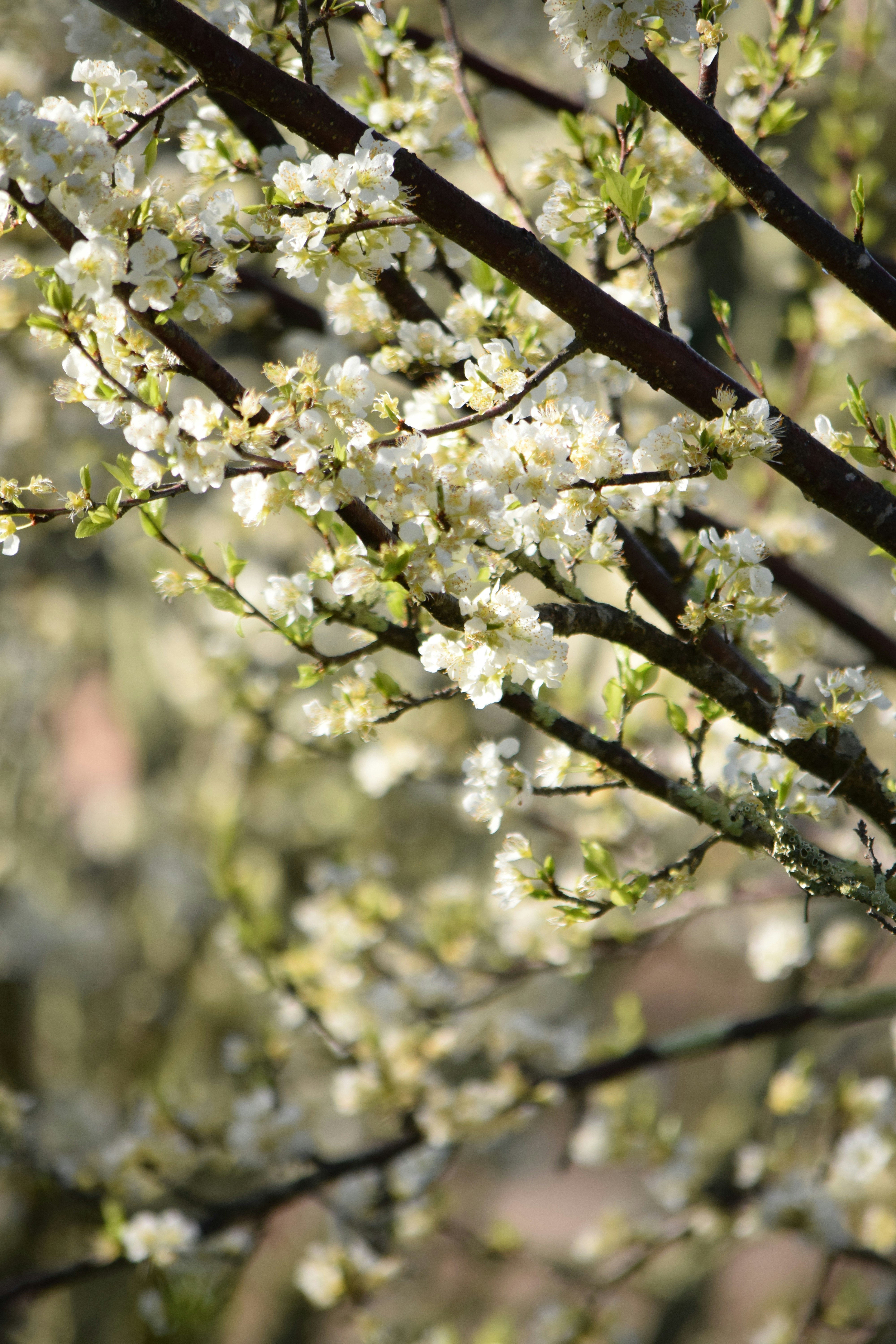 Photo by ch_photography