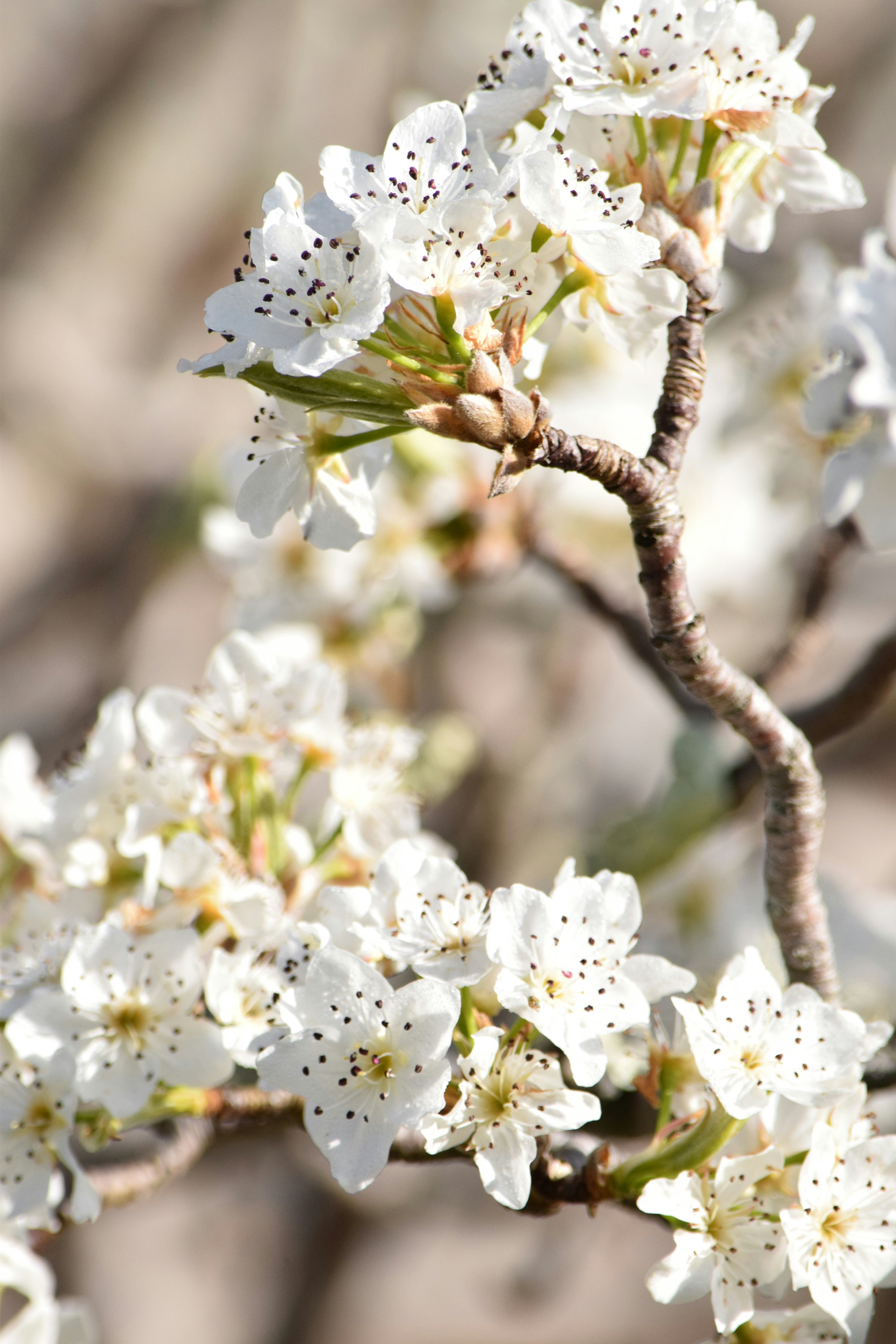 Photo by ch_photography