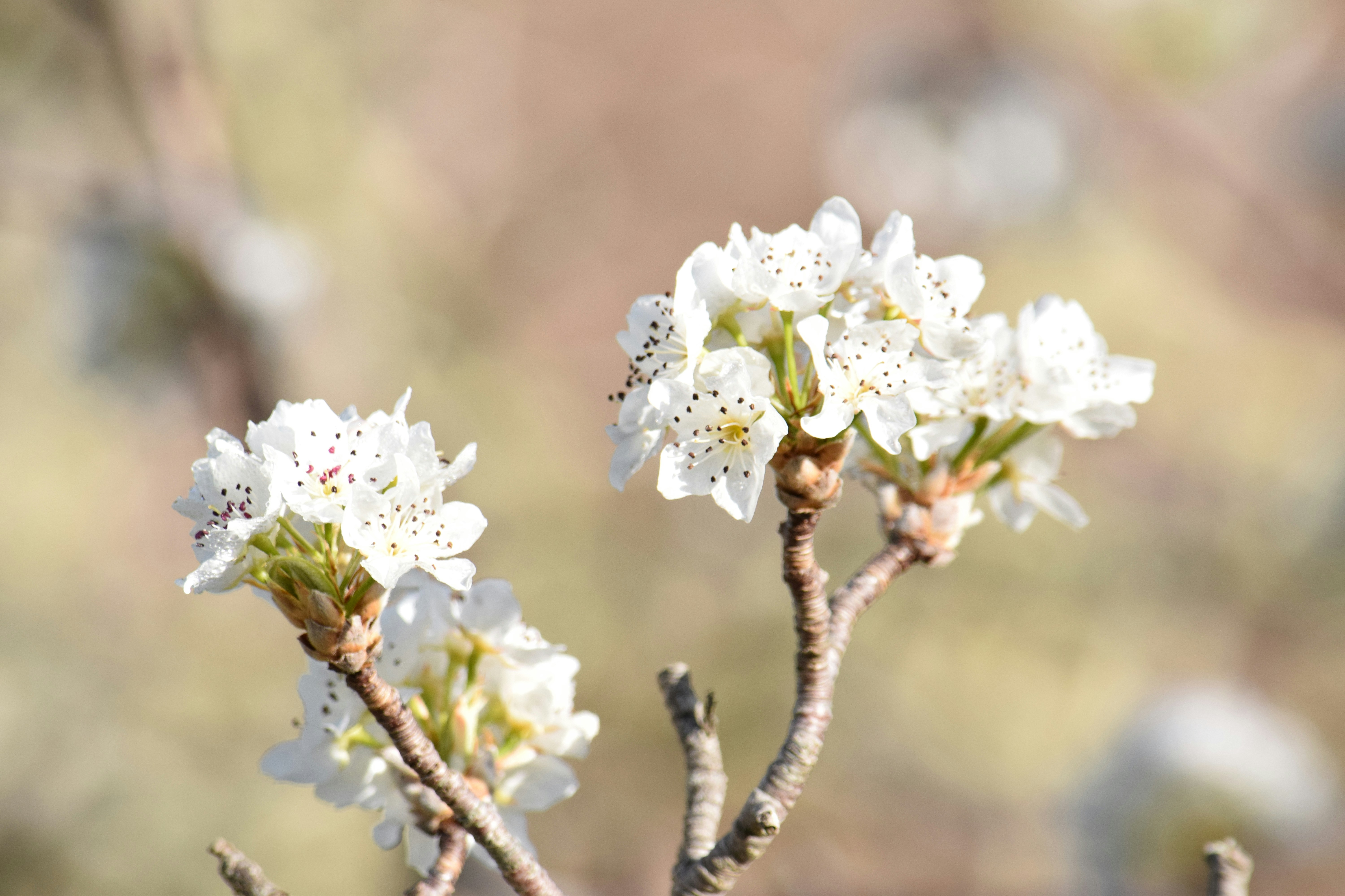 Photo by ch_photography