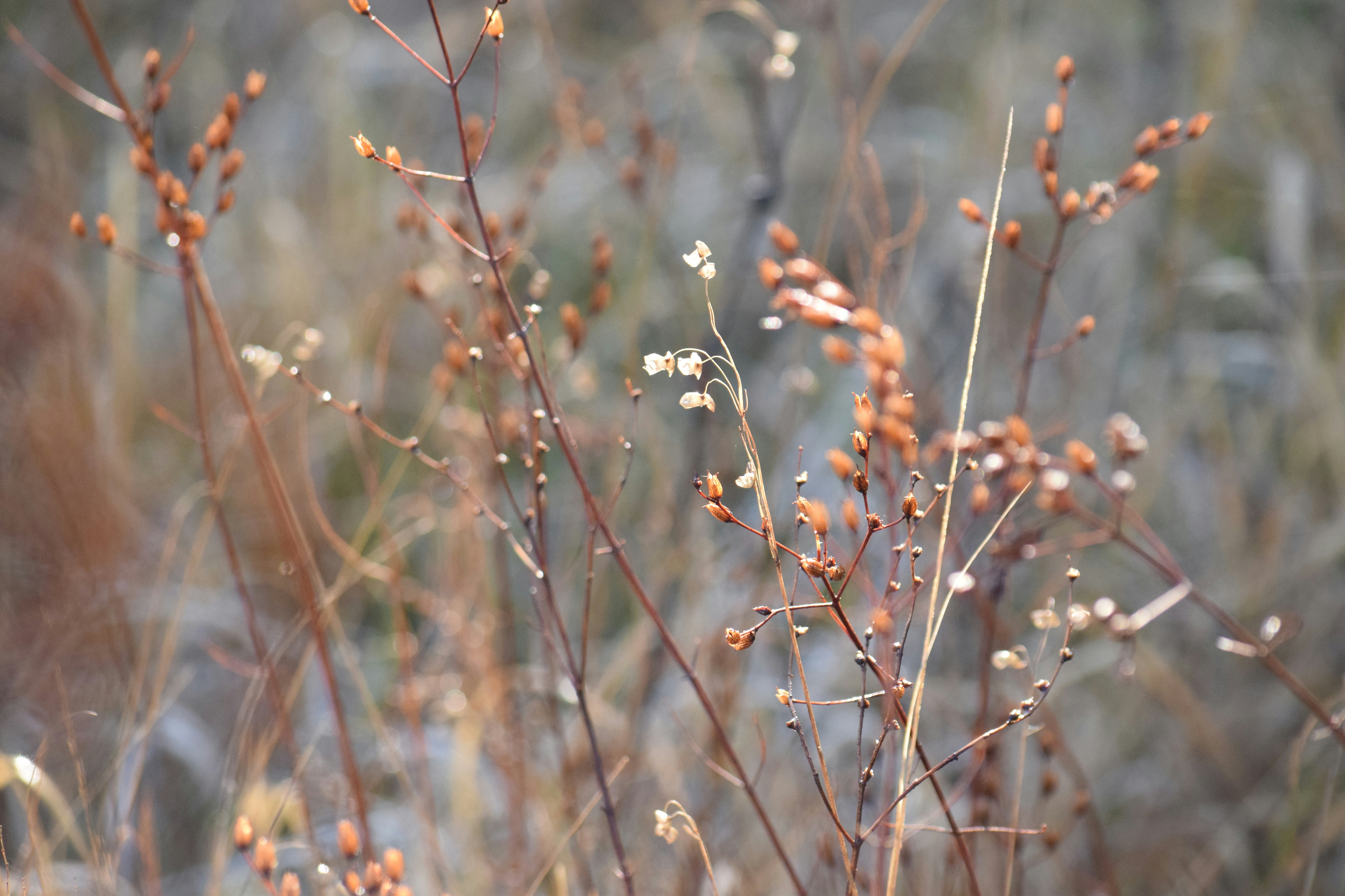 Photo by ch_photography