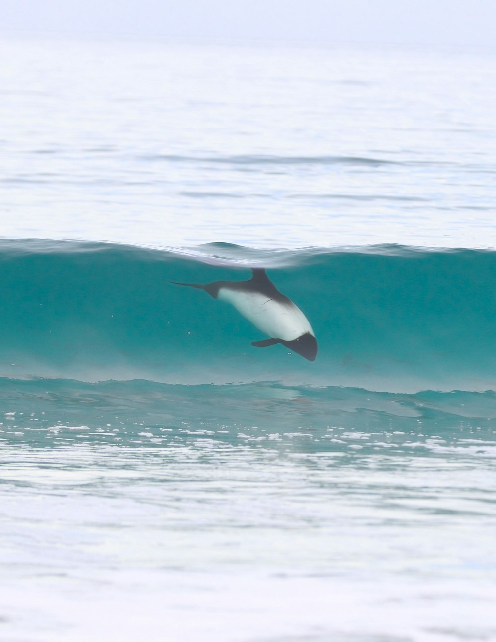 a bird flying over a wave in the ocean