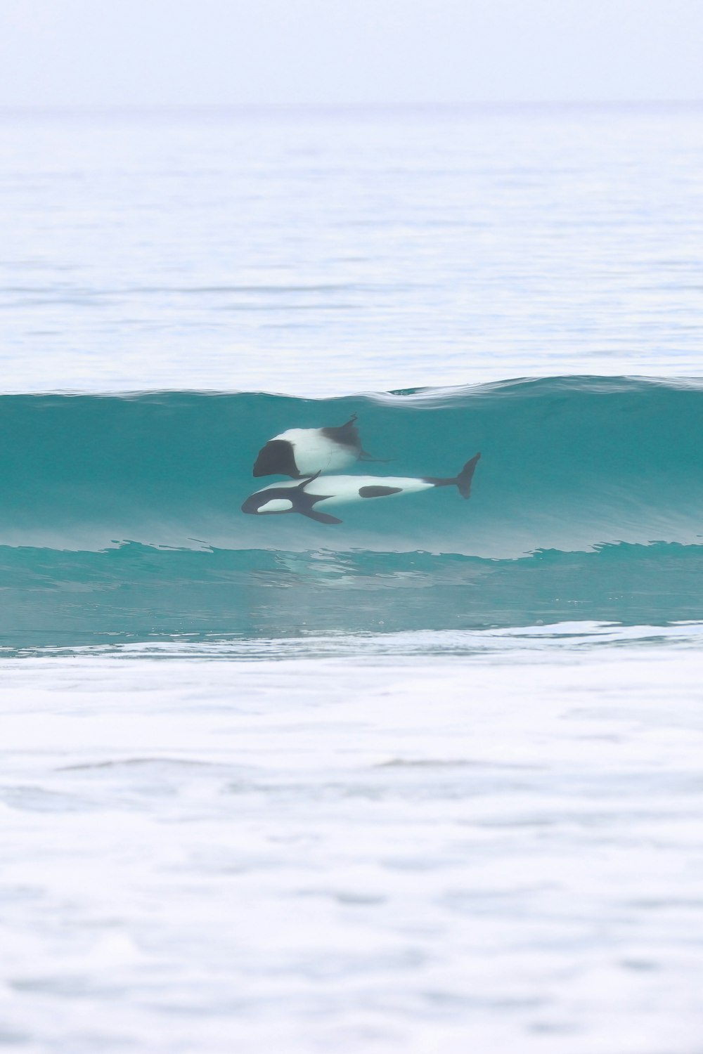 a man riding a wave on top of a surfboard