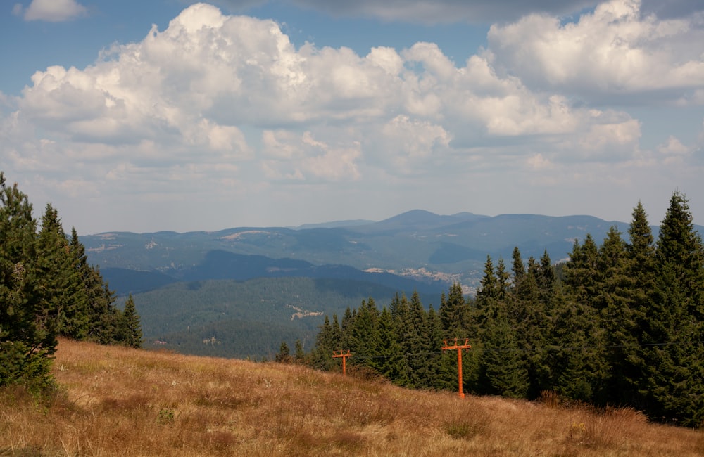 a grassy hill with trees and mountains in the background