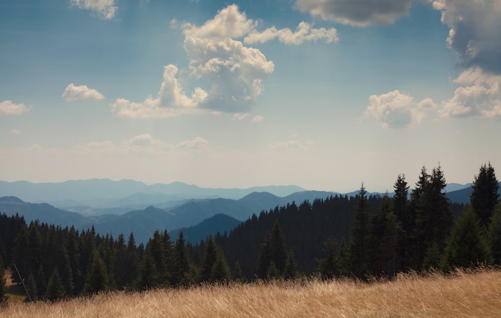 a grassy field with trees and mountains in the background