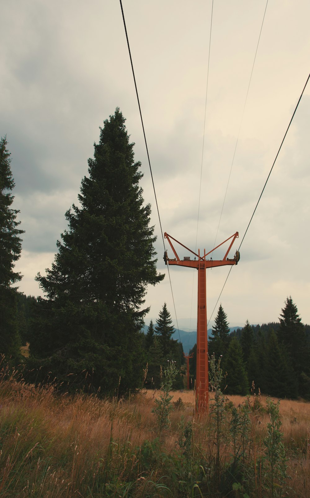 a power line in the middle of a field