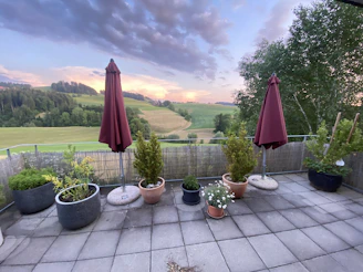 A serene terrace overlooking rolling Umbrian hills at sunset with olive trees in the foreground.