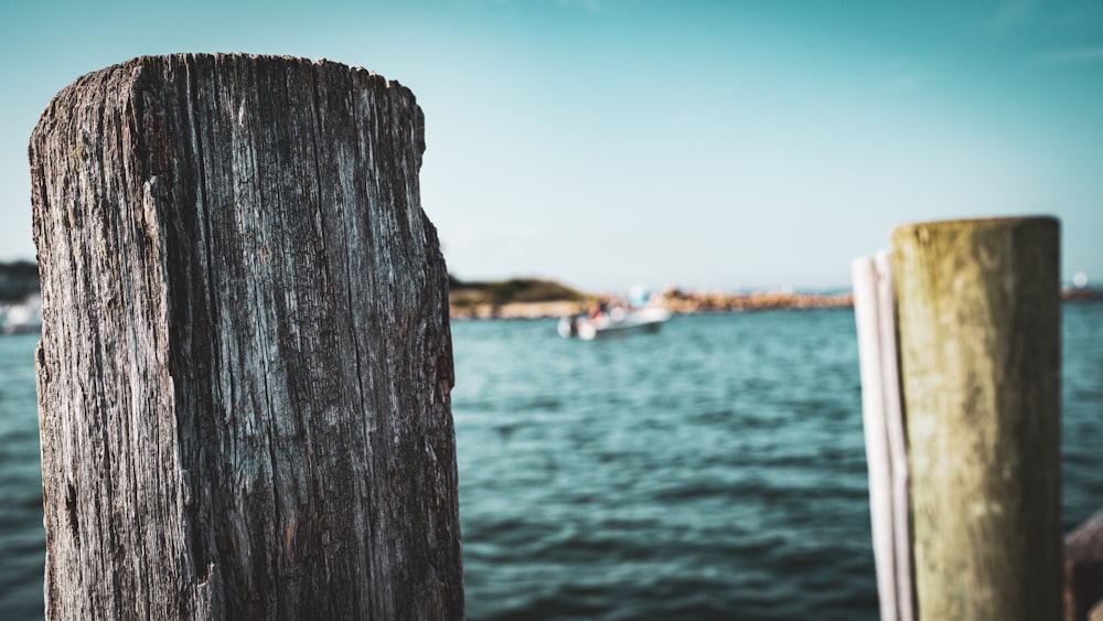 a wooden post sticking out of the water