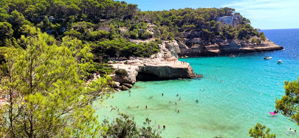 a group of people swimming in a body of water