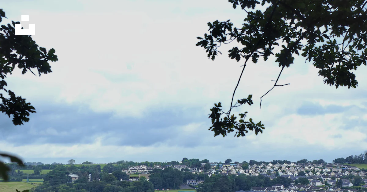 Bridge Through View A view of a bridge through some trees photo – Free Background Image on ...