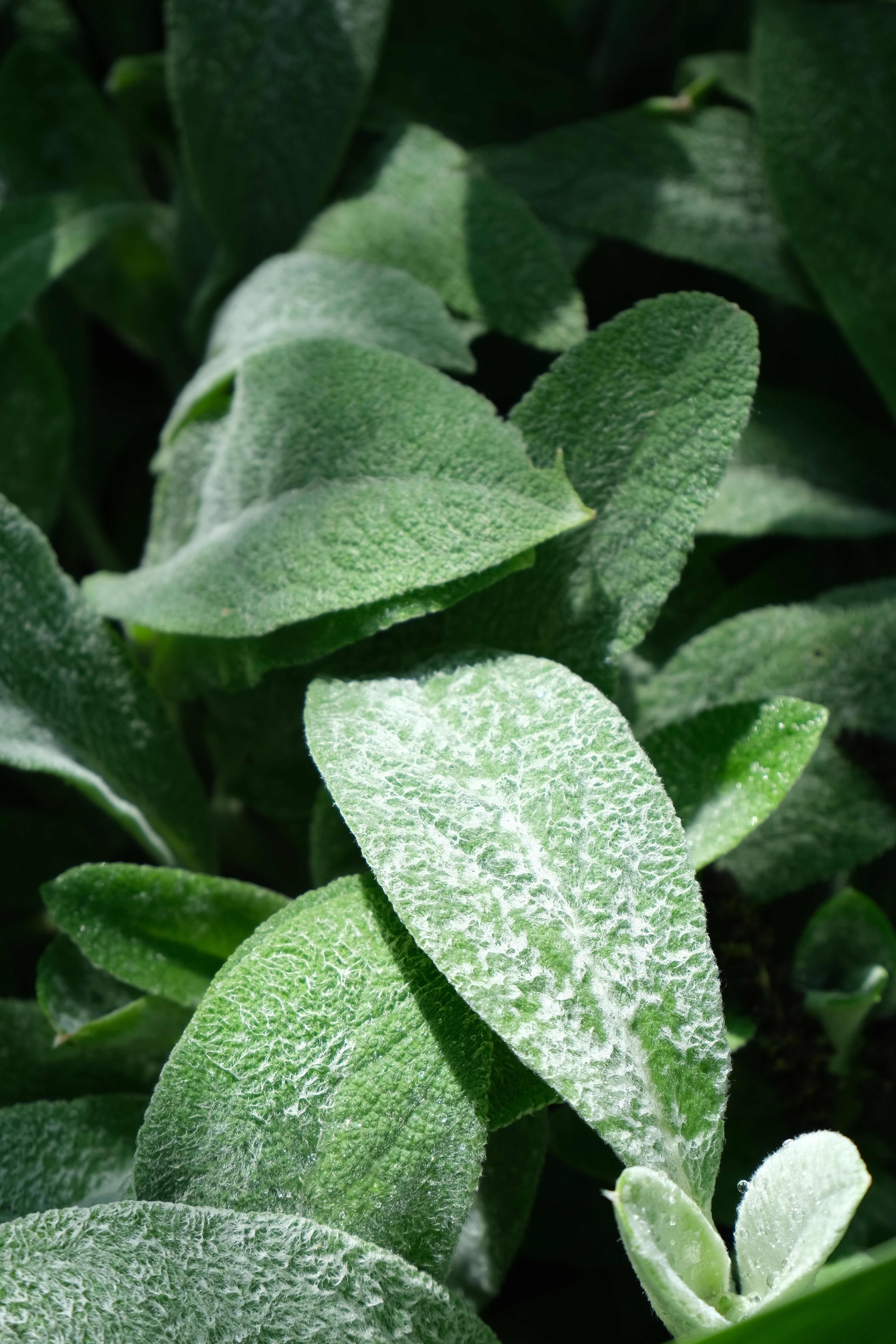 Photo by olegbilykpro