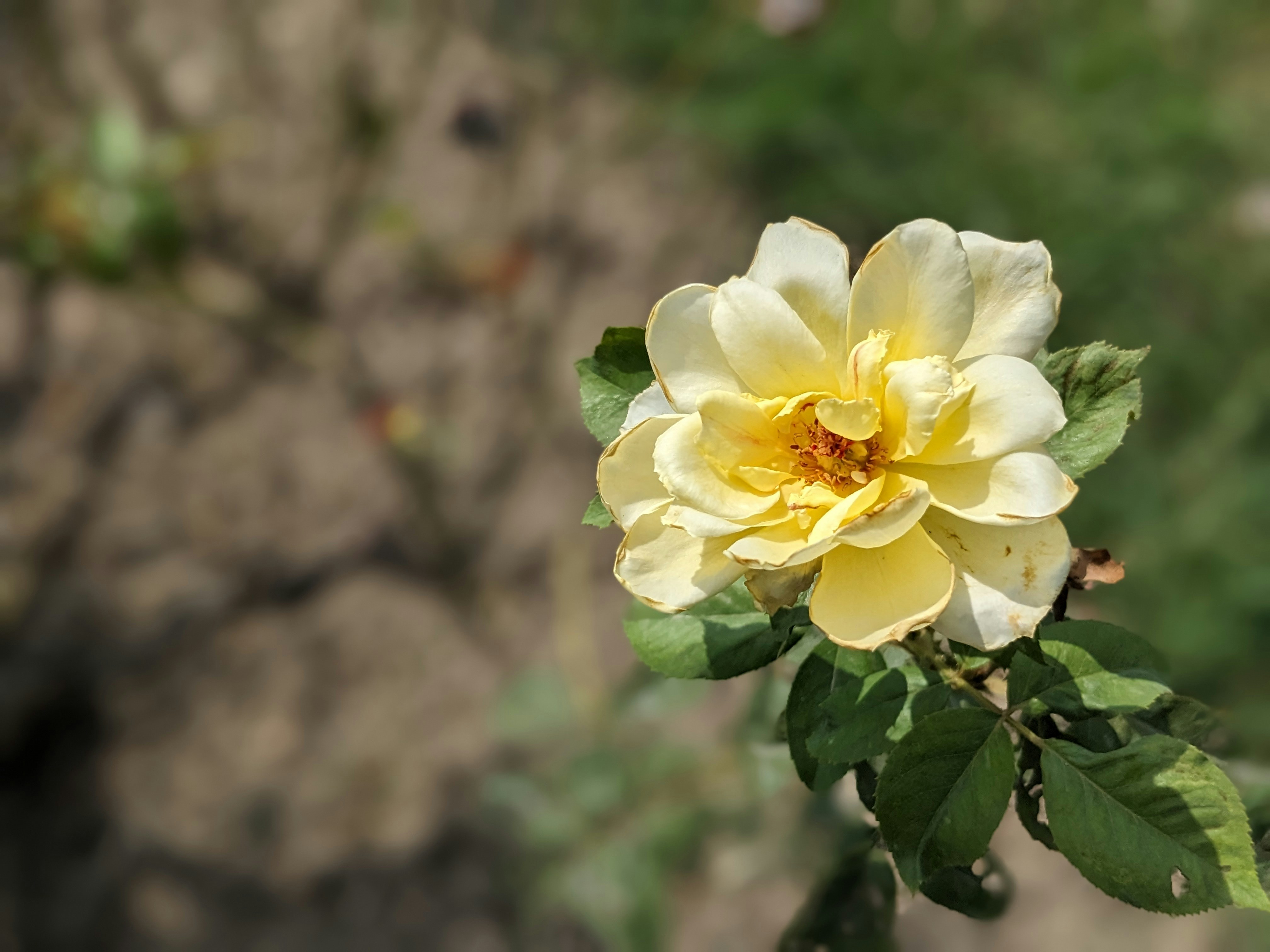 Photo by hameedlodhra
