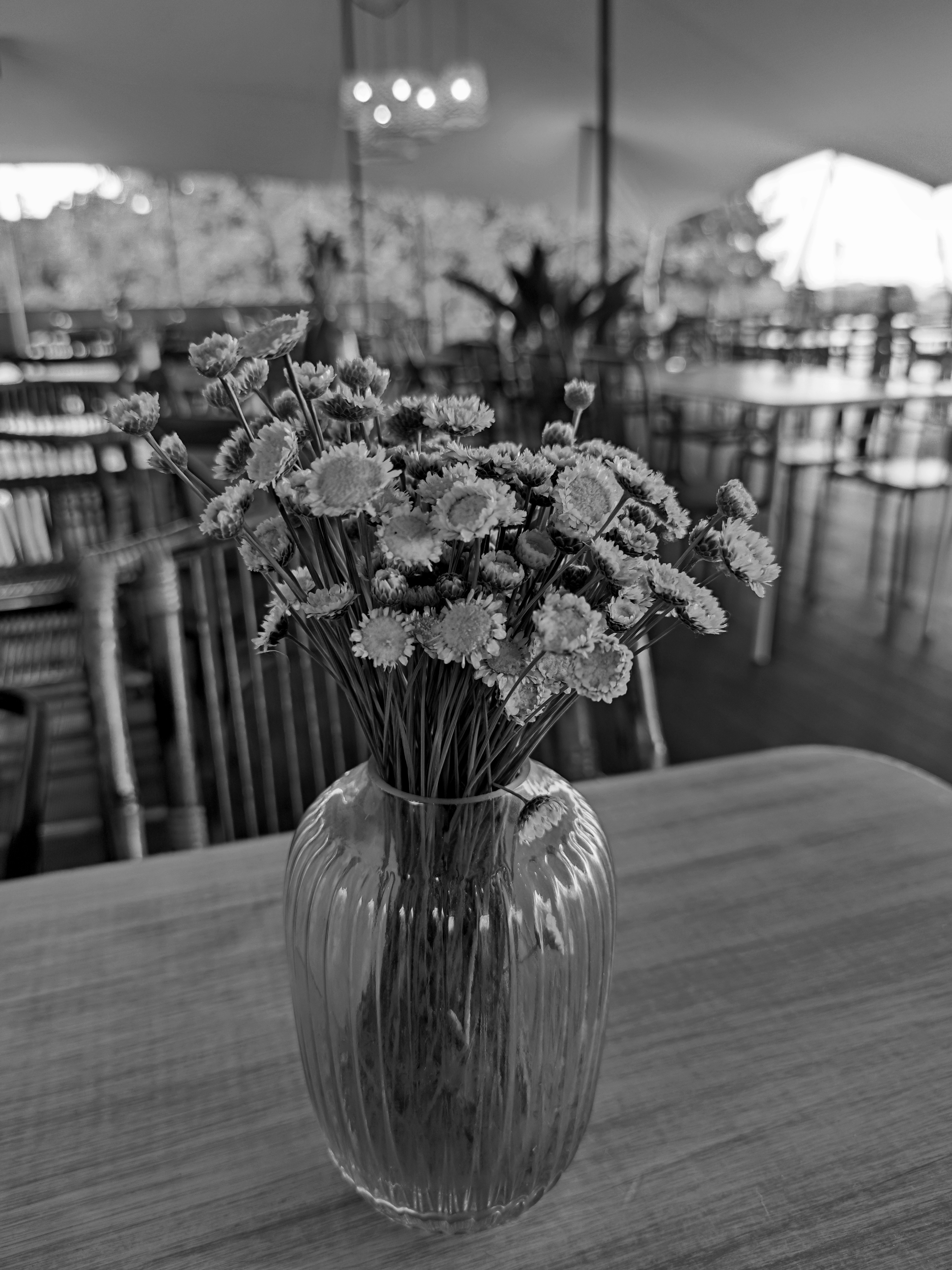 Photo by jmalonsoabalo