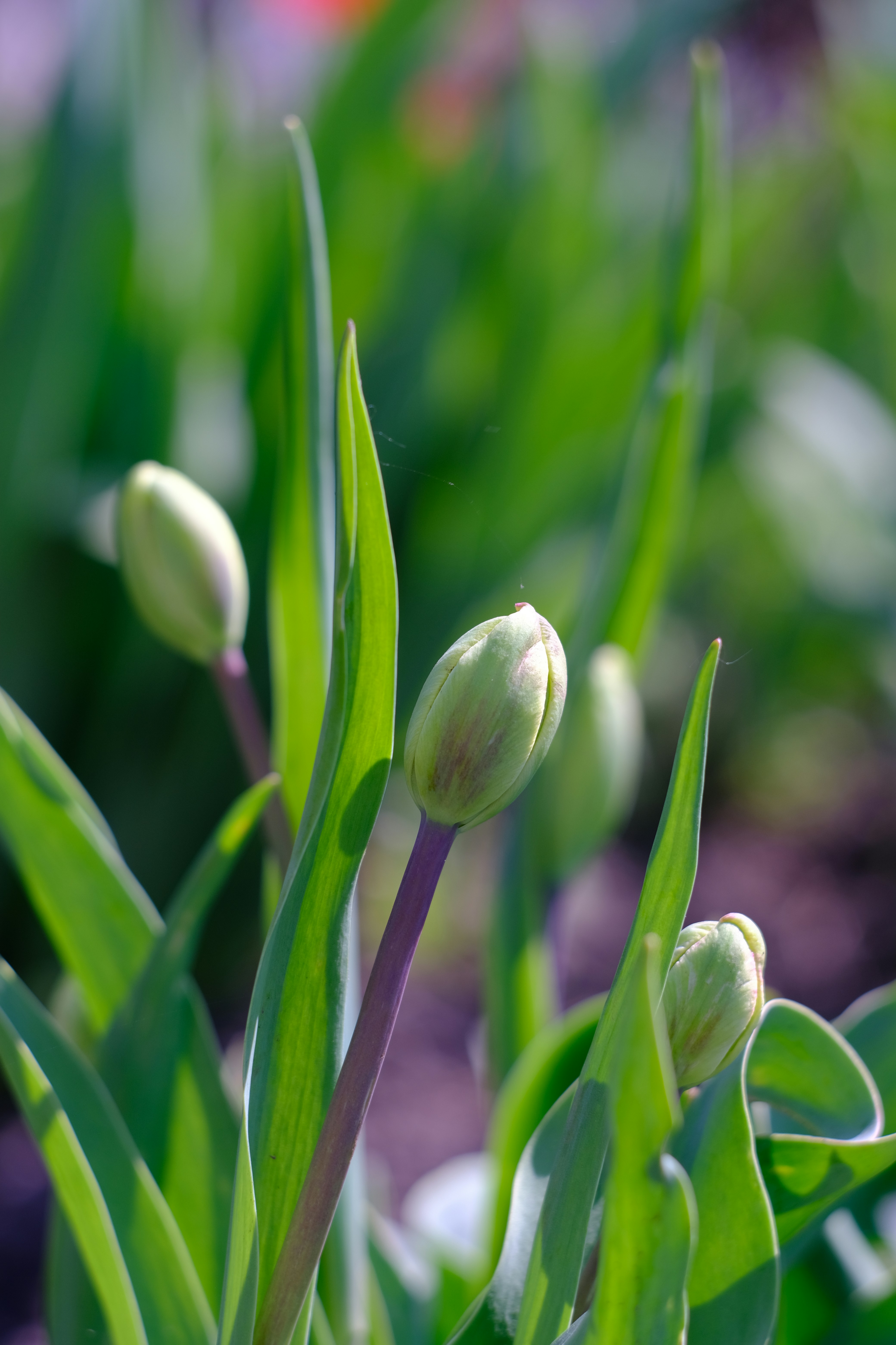 סיימתם את השלב הראשון!