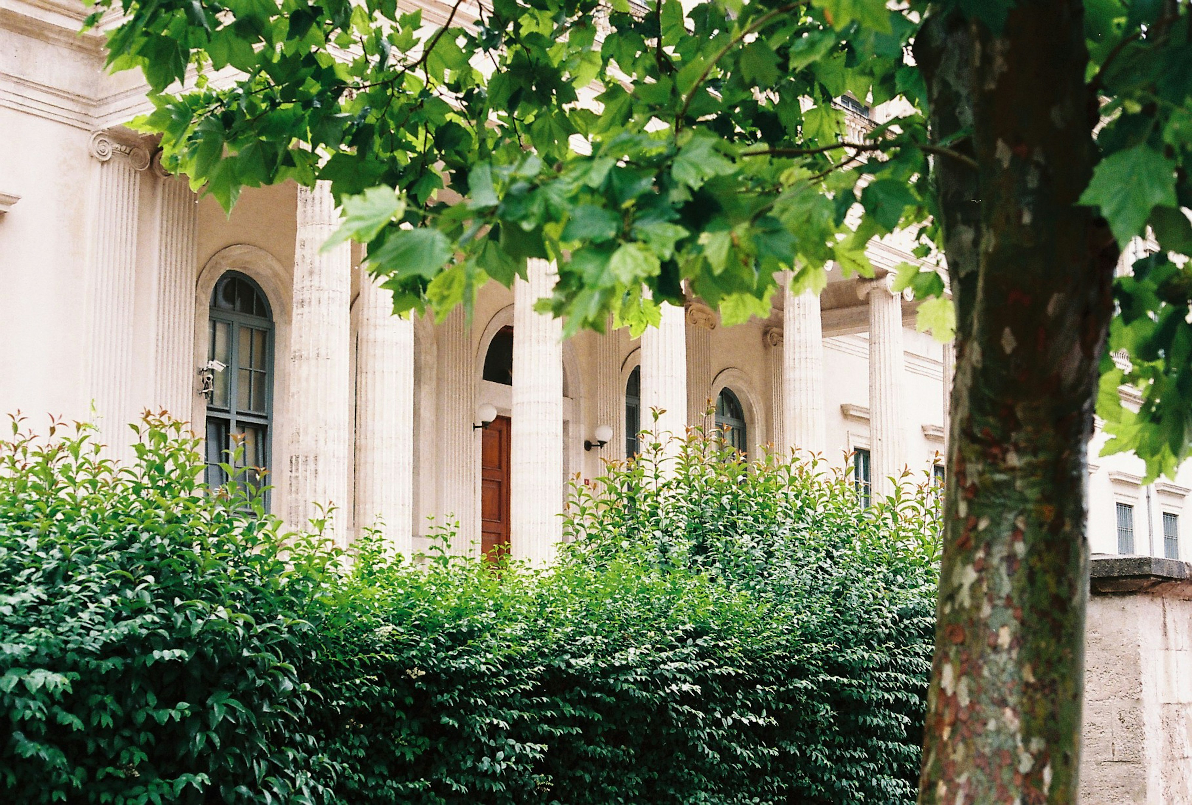 Photo by burcubircan