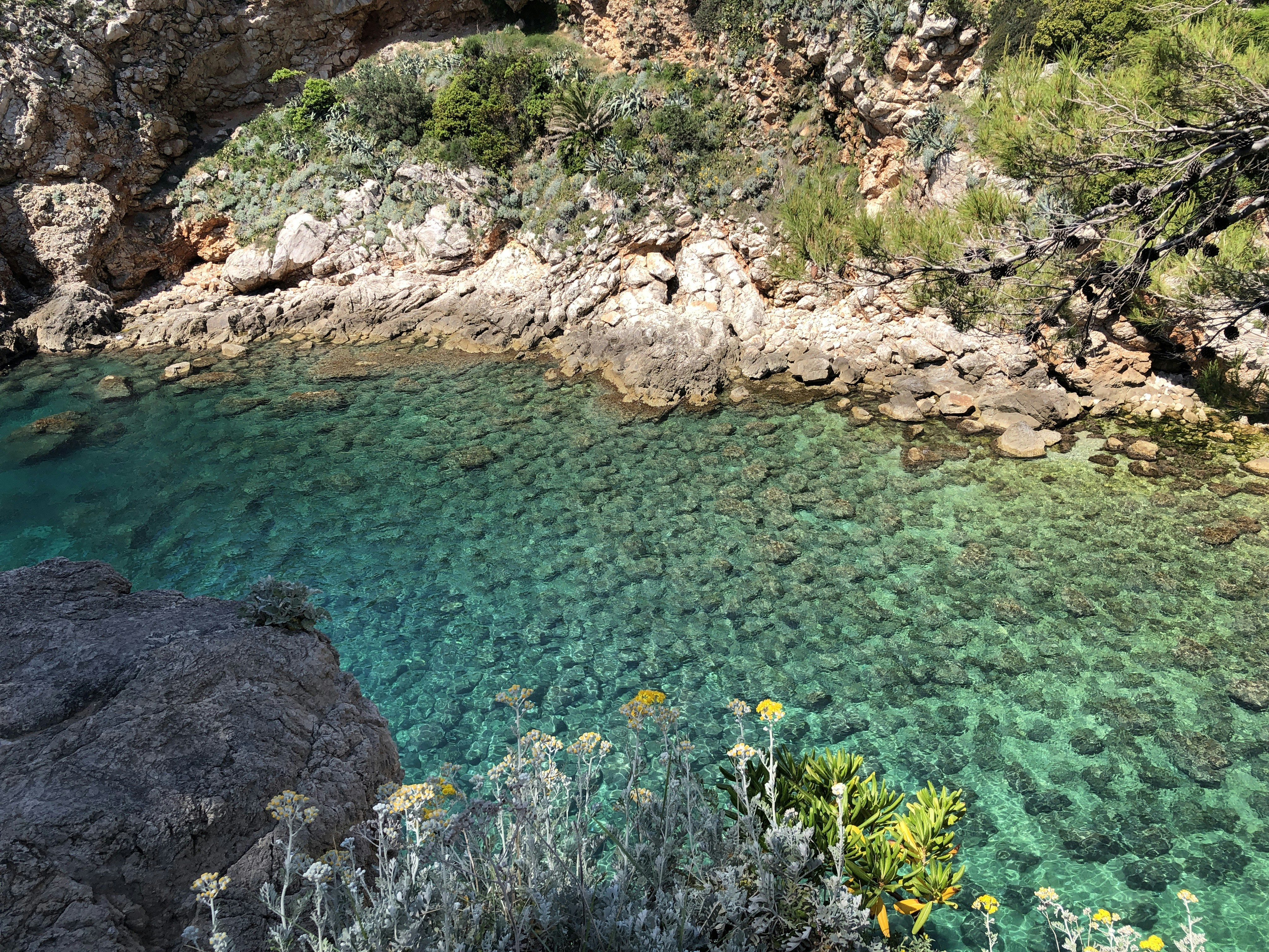 a body of water surrounded by trees and rocks