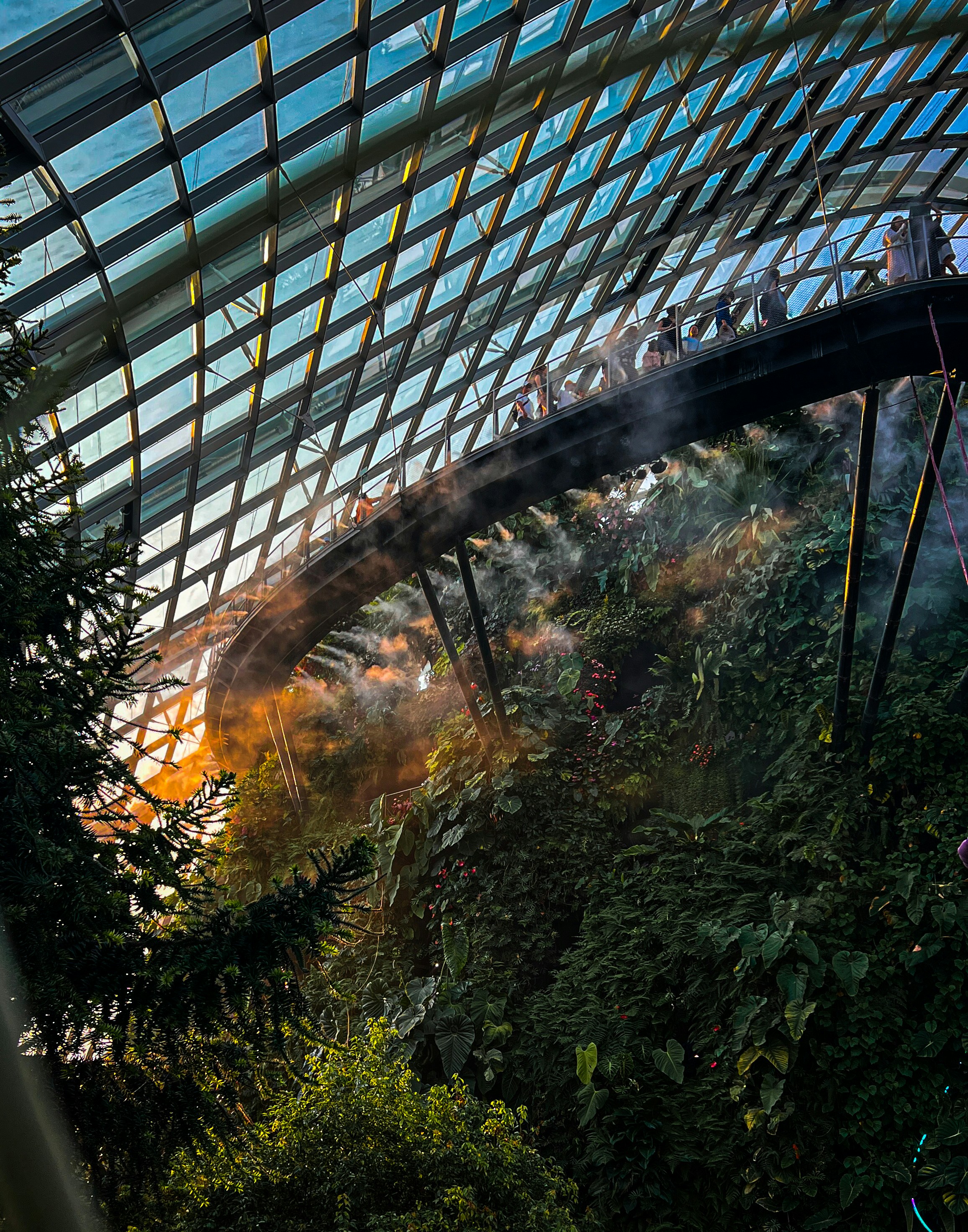 Photo by horseratbros